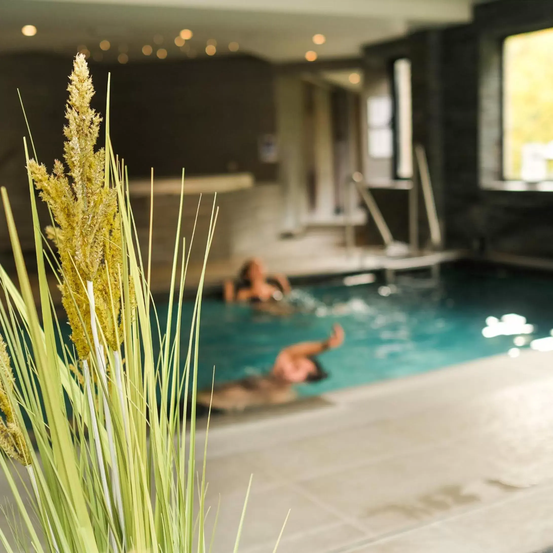 Swimming Pool in Martin's Château Du Lac