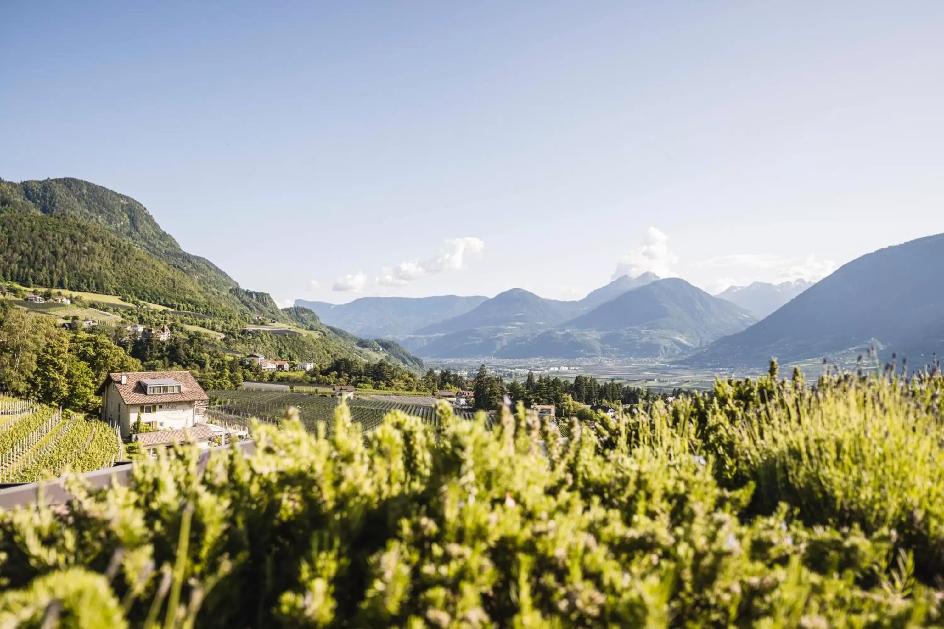 Natural landscape in Hotel Schwefelbad (Schenna Resort)