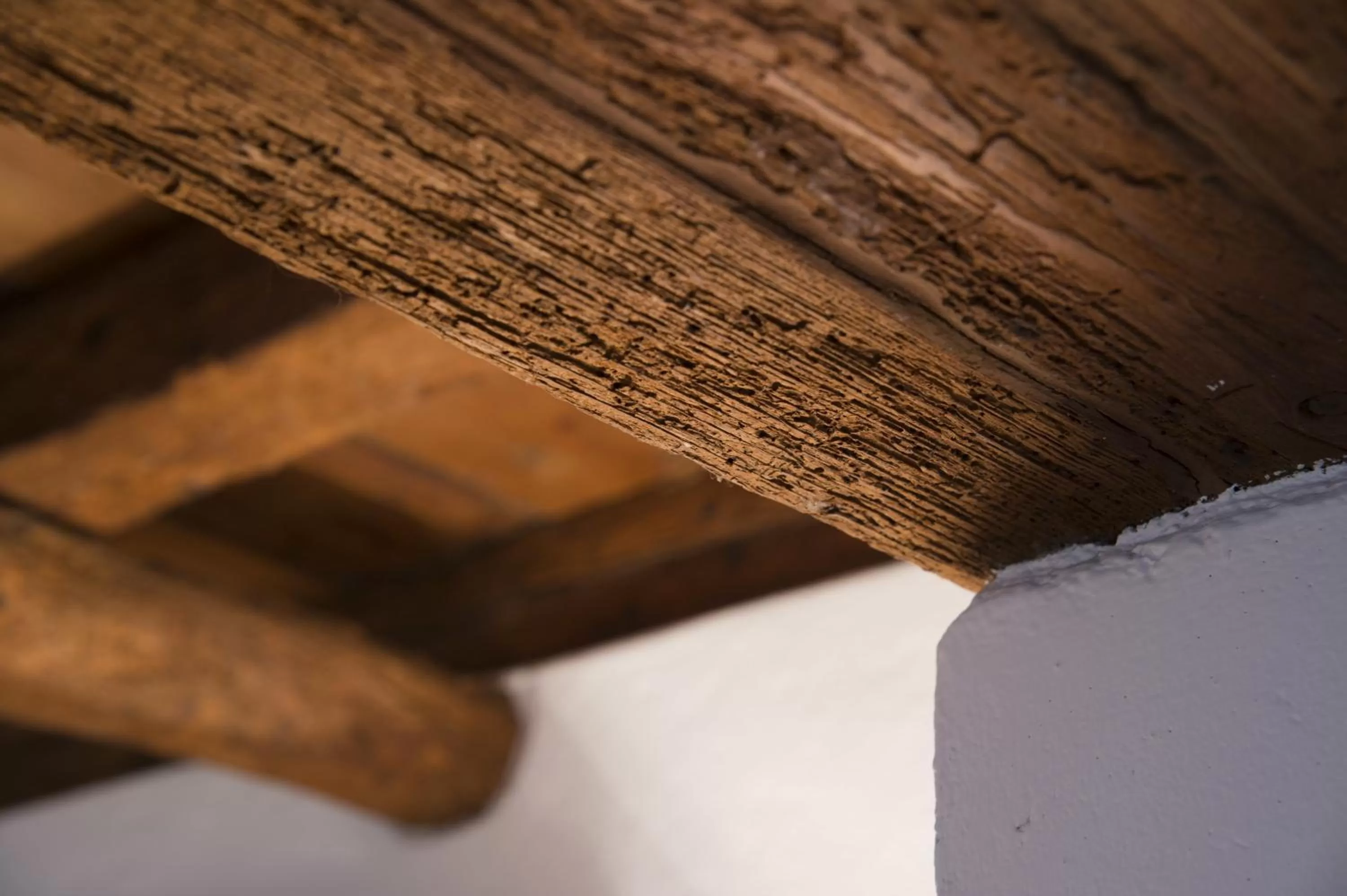 Decorative detail in Il Relais dell'Abbazia