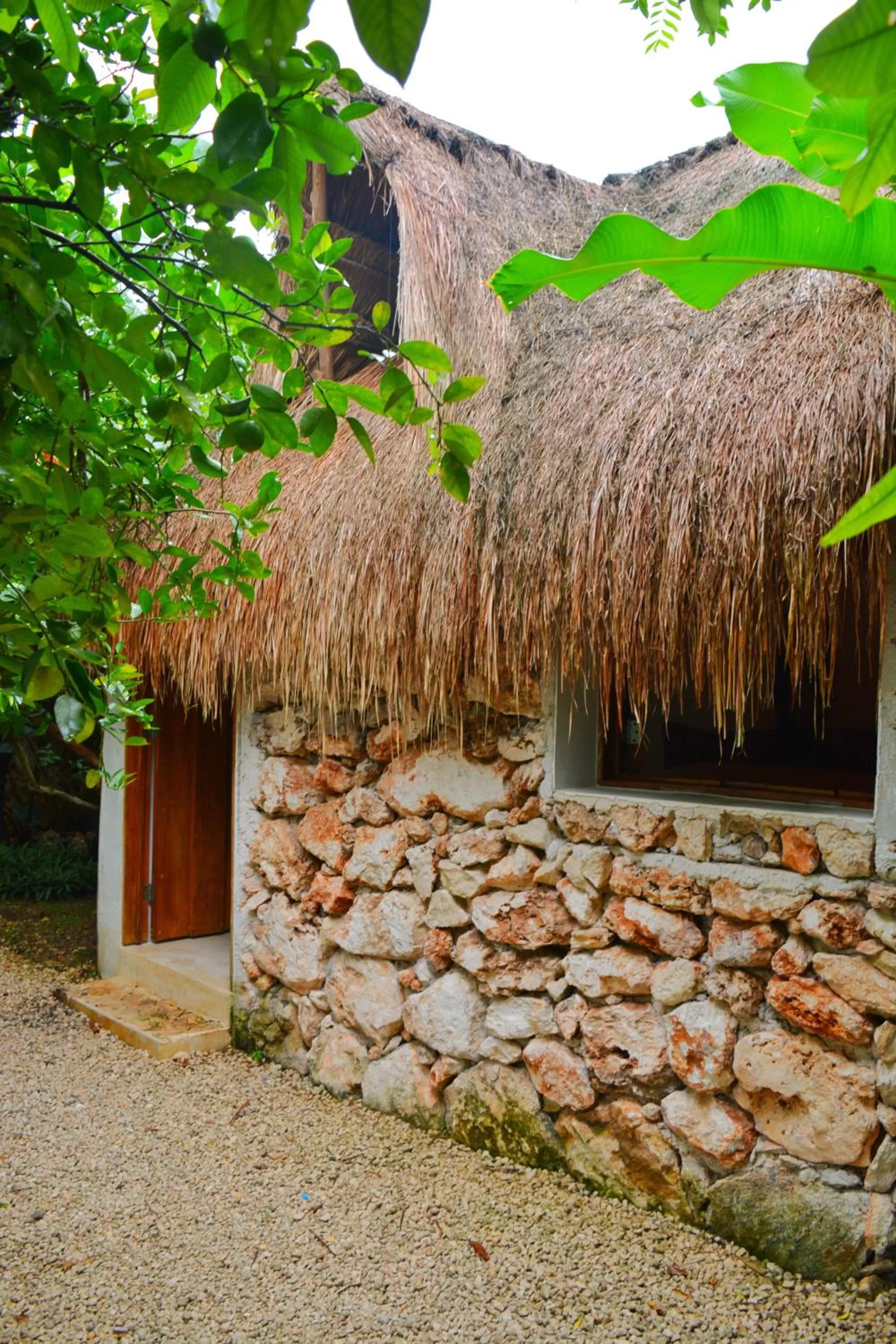 View (from property/room) in Aldea Che-eek