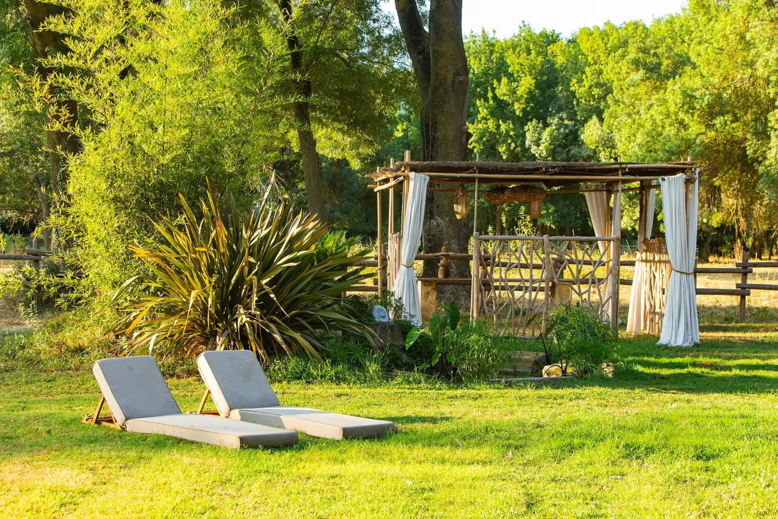 Swimming pool, Garden in Domaine de Biar