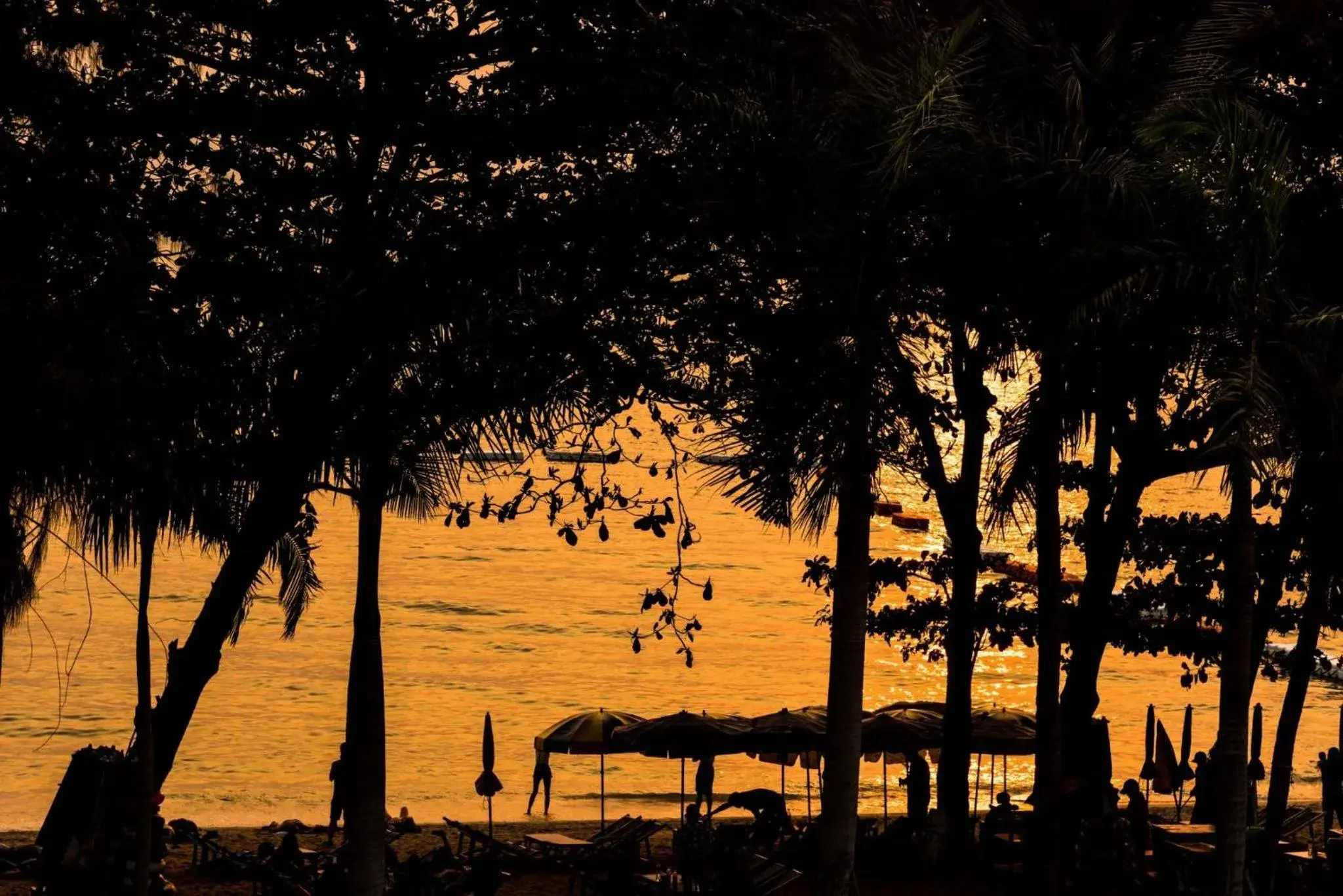 Beach in Jomtien Boathouse