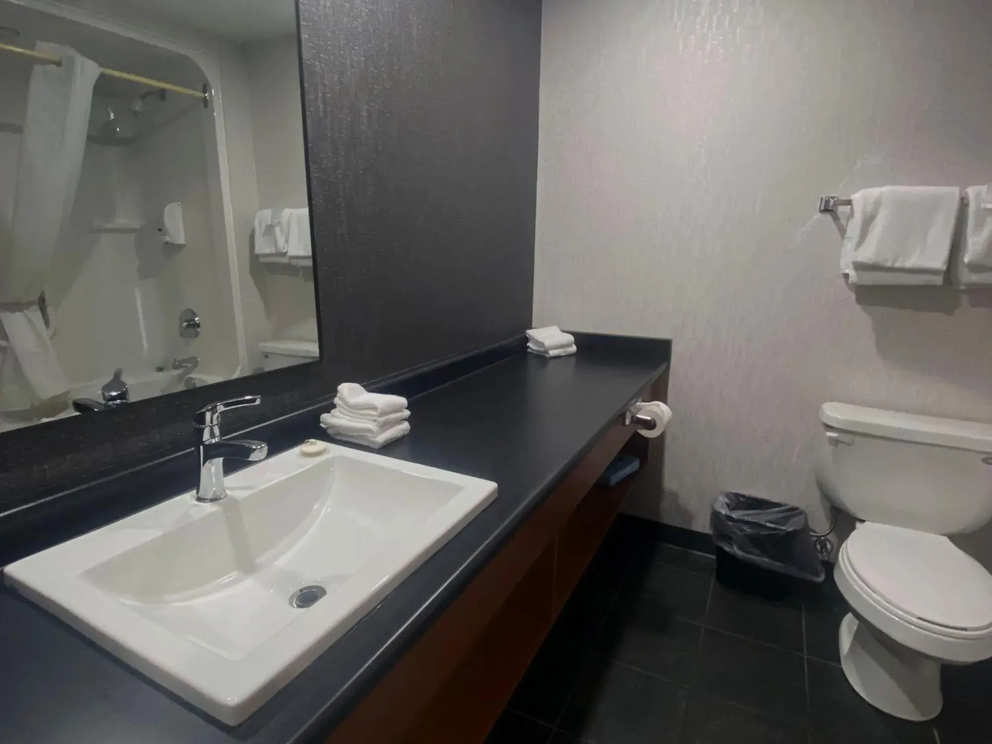 Bathroom in Americana Waterpark Resort & Spa