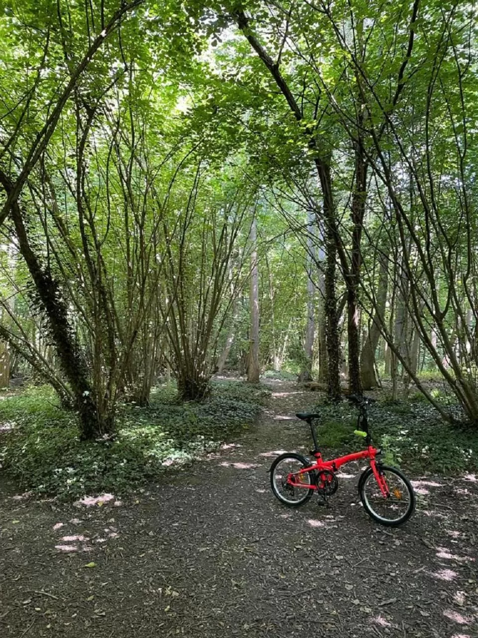 Off site in Domaine de la Forêt d'Orient, Logis Hôtel, Restaurant, Spa et Golf