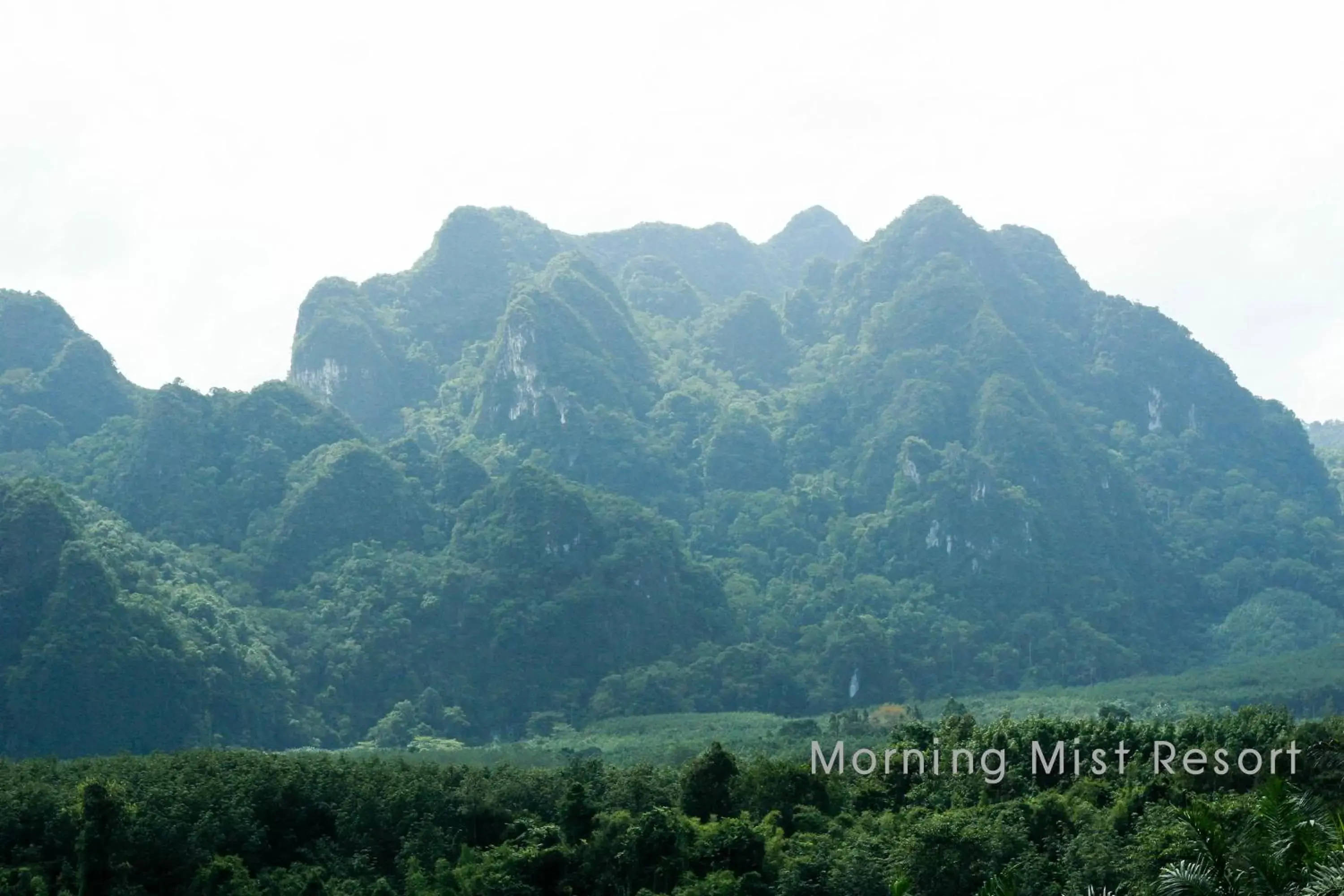 Natural landscape, Mountain View in Khao Sok Morning Mist Resort