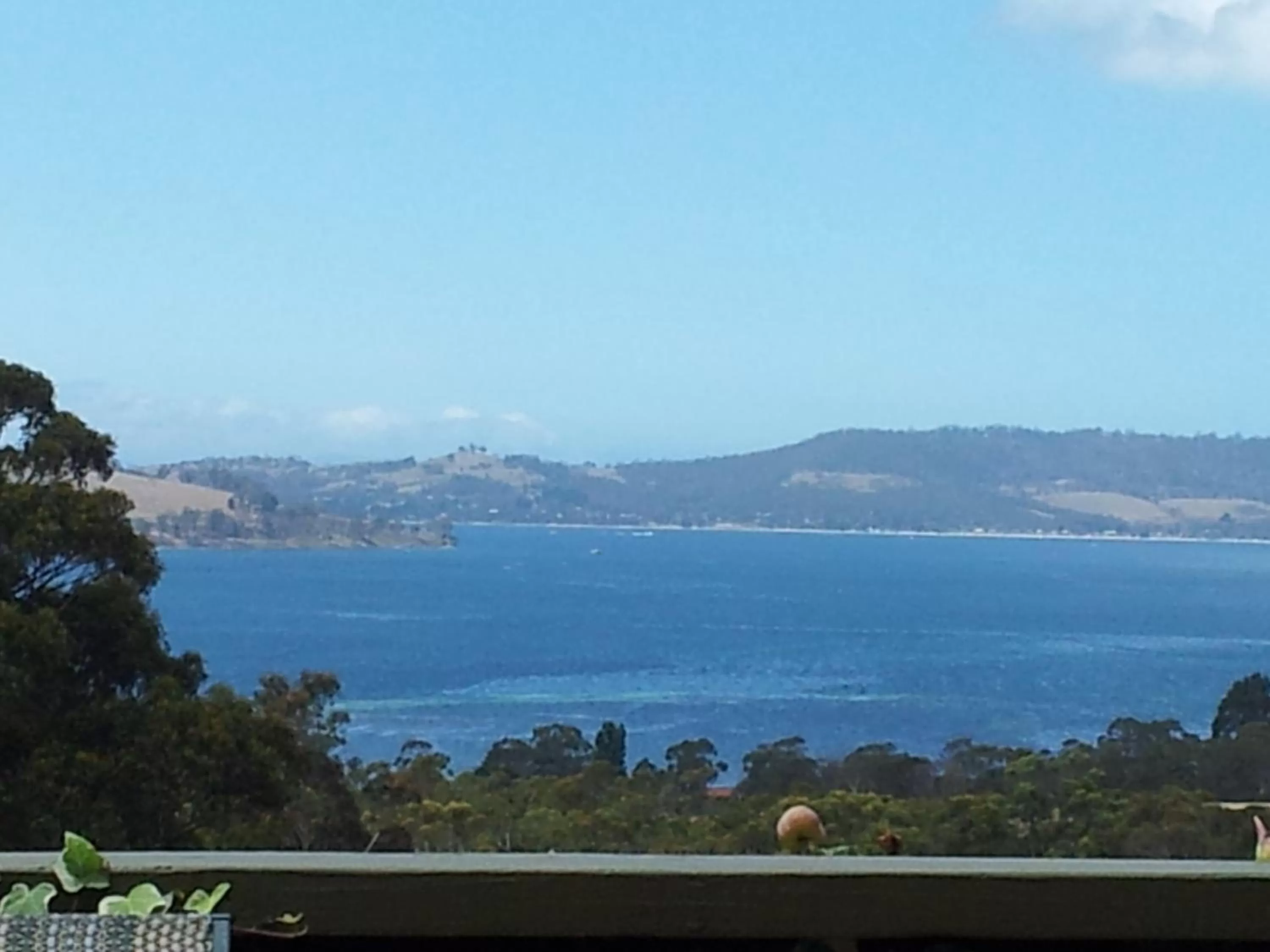 Sea view in Waterview Gardens B&B