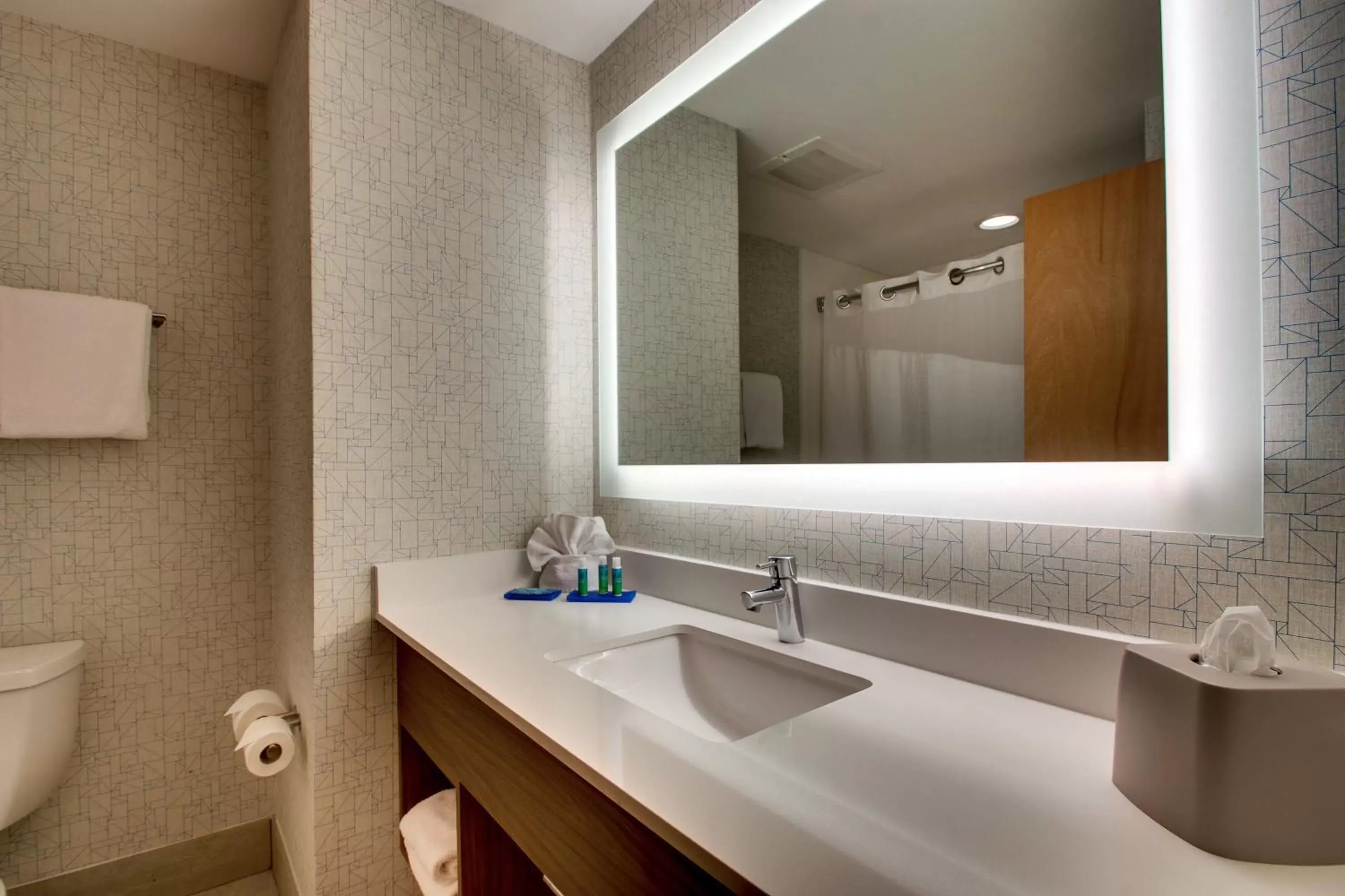 Bathroom in Holiday Inn Express Hotel & Suites Jacksonville North-Fernandina, an IHG Hotel