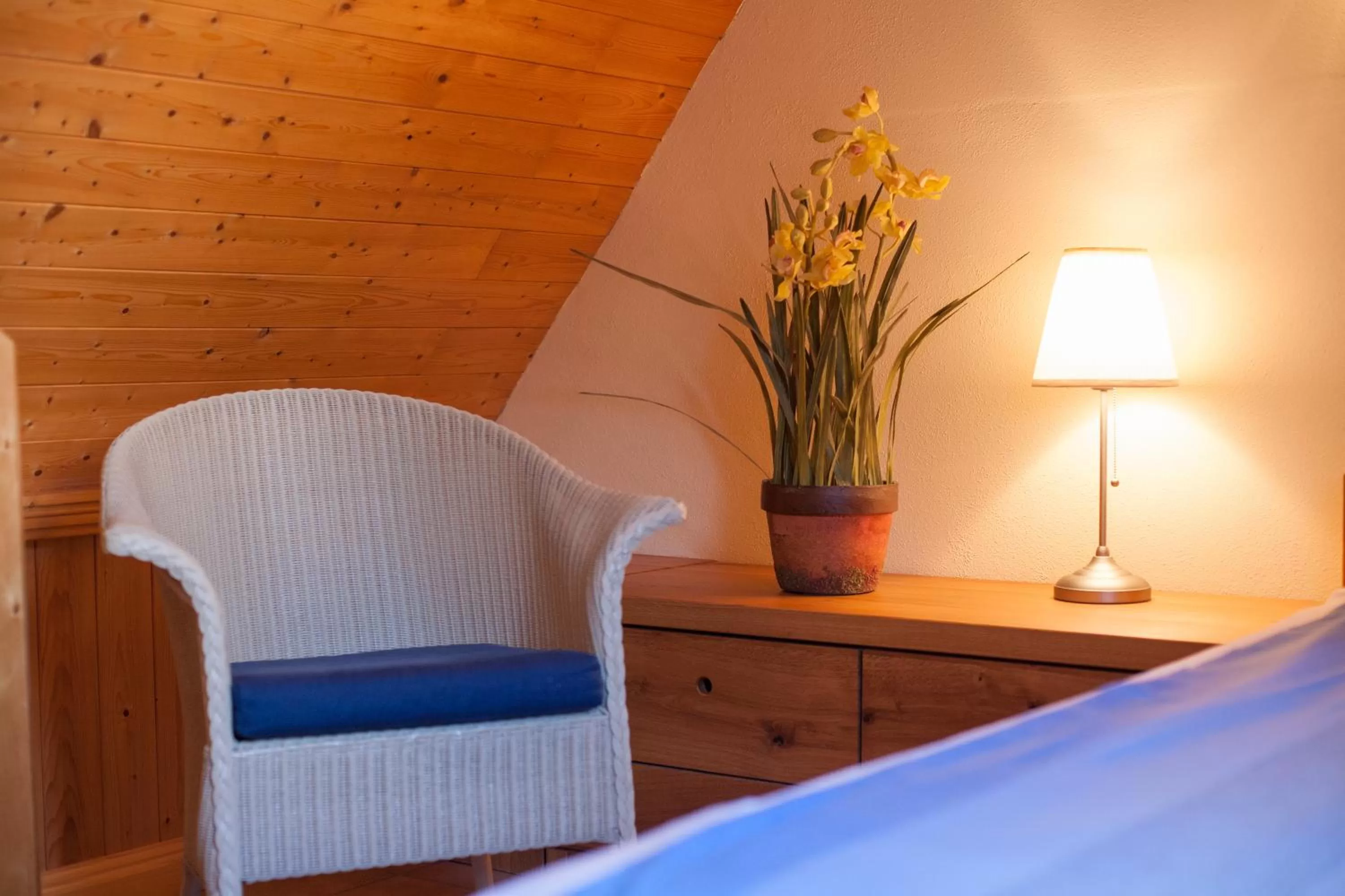 Gästehaus Craintaler Mühle B&B