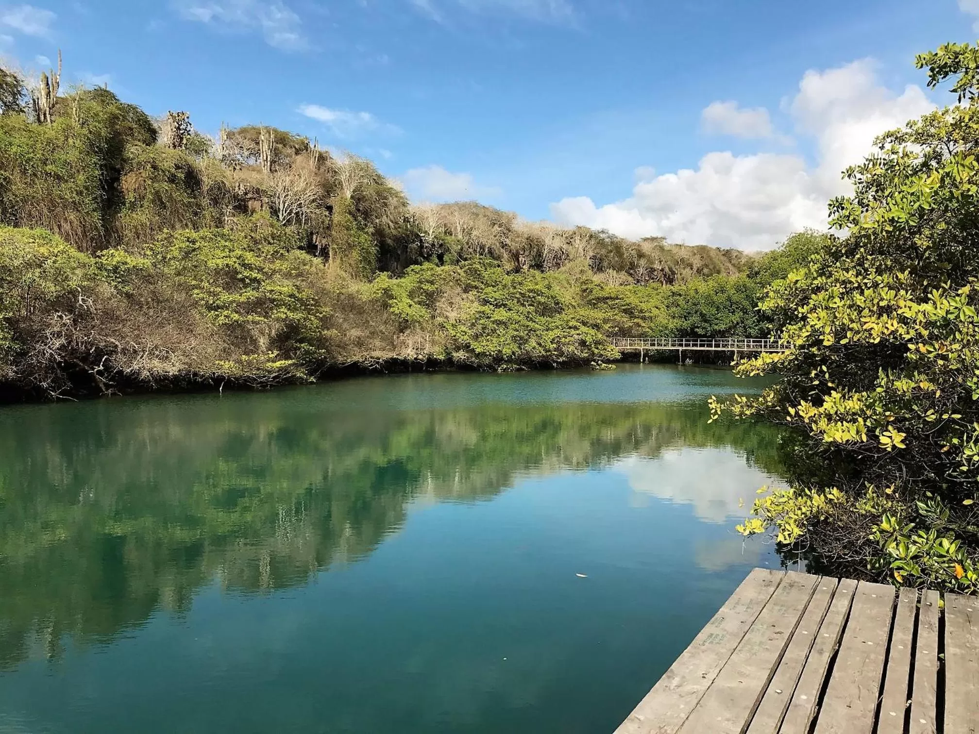 Lake view in Casa del Lago Lodging House