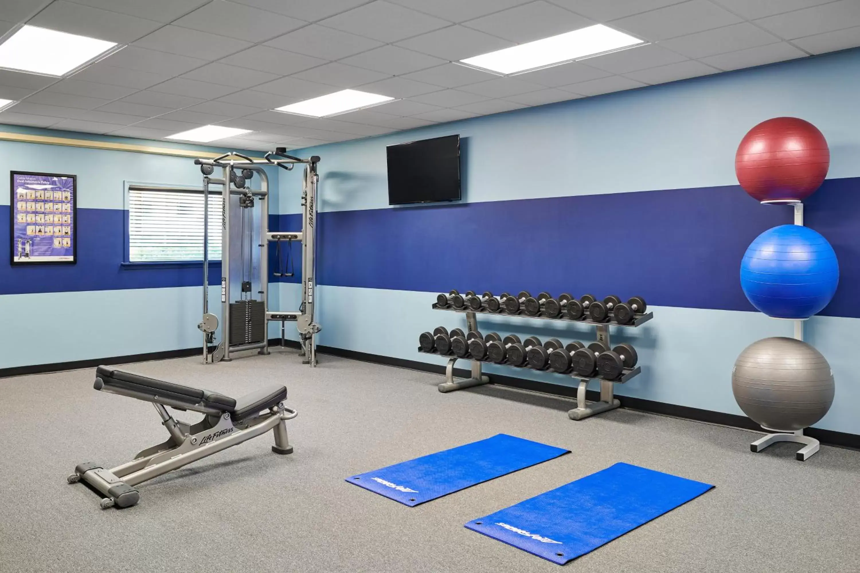 Fitness centre/facilities, Fitness Center/Facilities in Four Points by Sheraton Milwaukee Airport