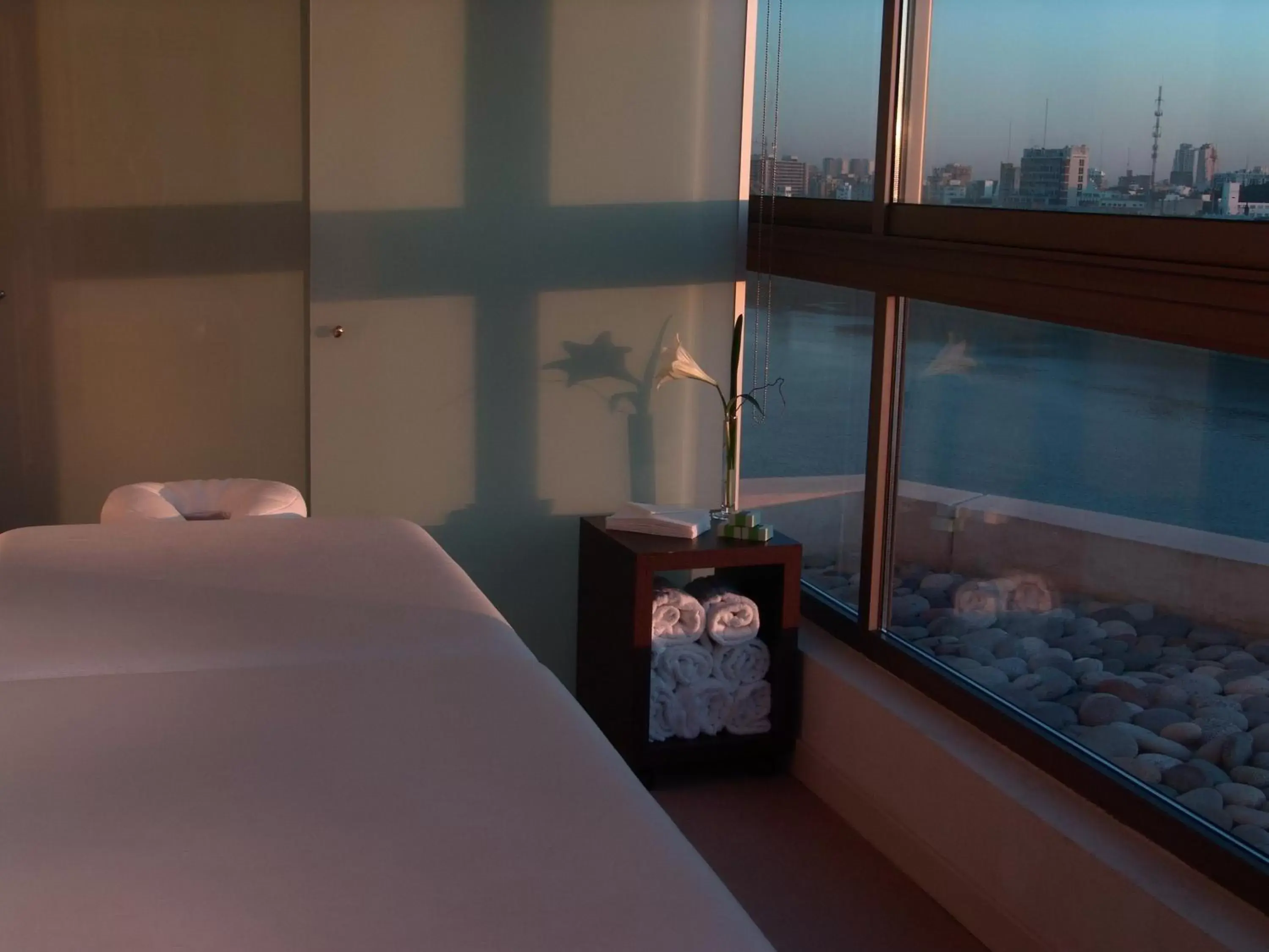 Spa and wellness centre/facilities, Bed in Hotel Madero Buenos Aires