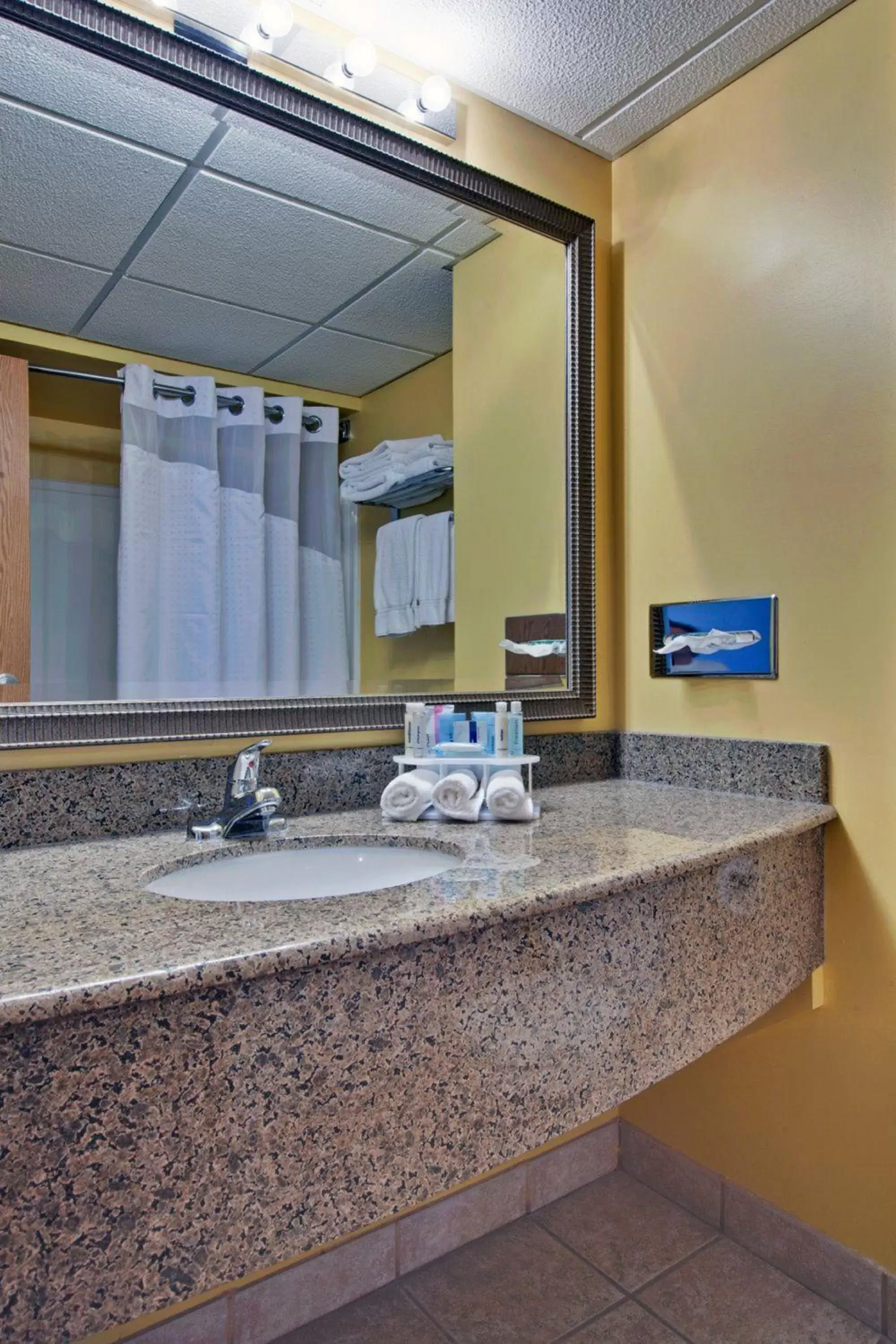 Bathroom in Holiday Inn Express Dryden, an IHG Hotel