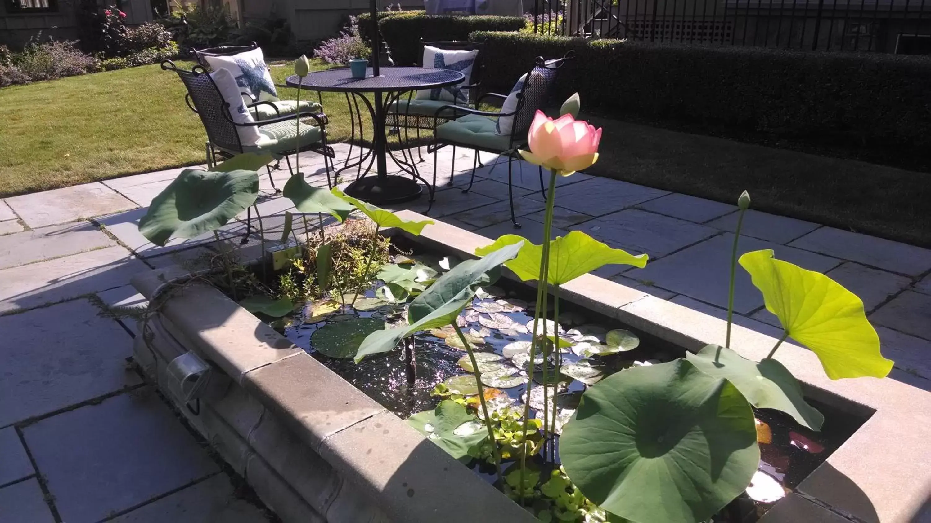 Patio in Hilltop Inn