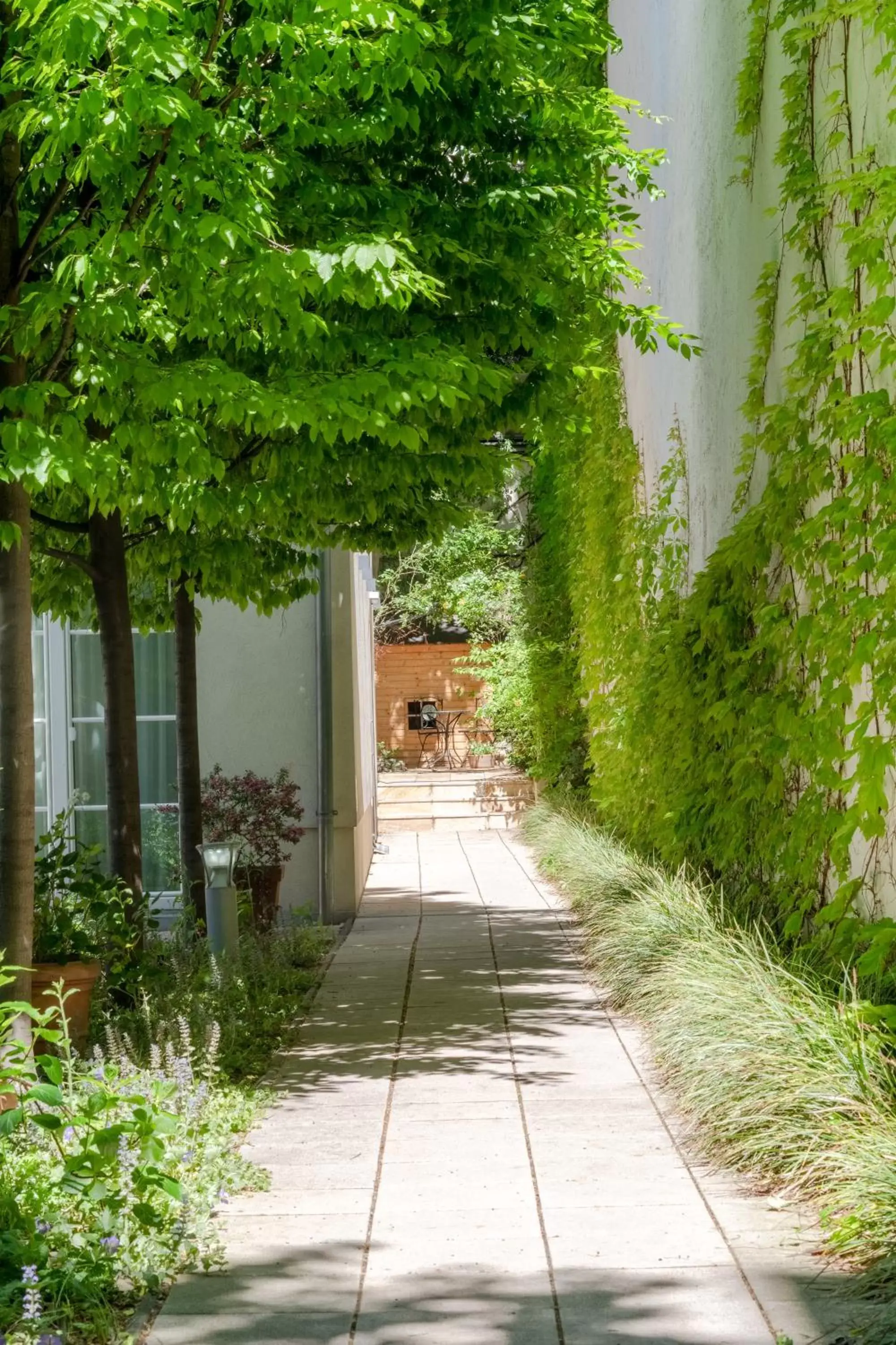 Patio in Hotel Spiess & Spiess