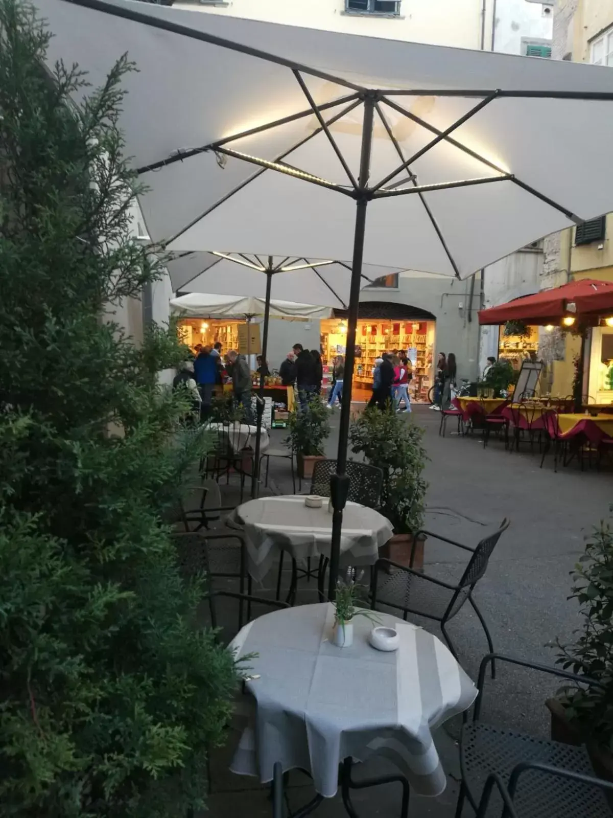 Restaurant/places to eat in Hotel La Luna Restaurant/places to eat in Hotel La Luna