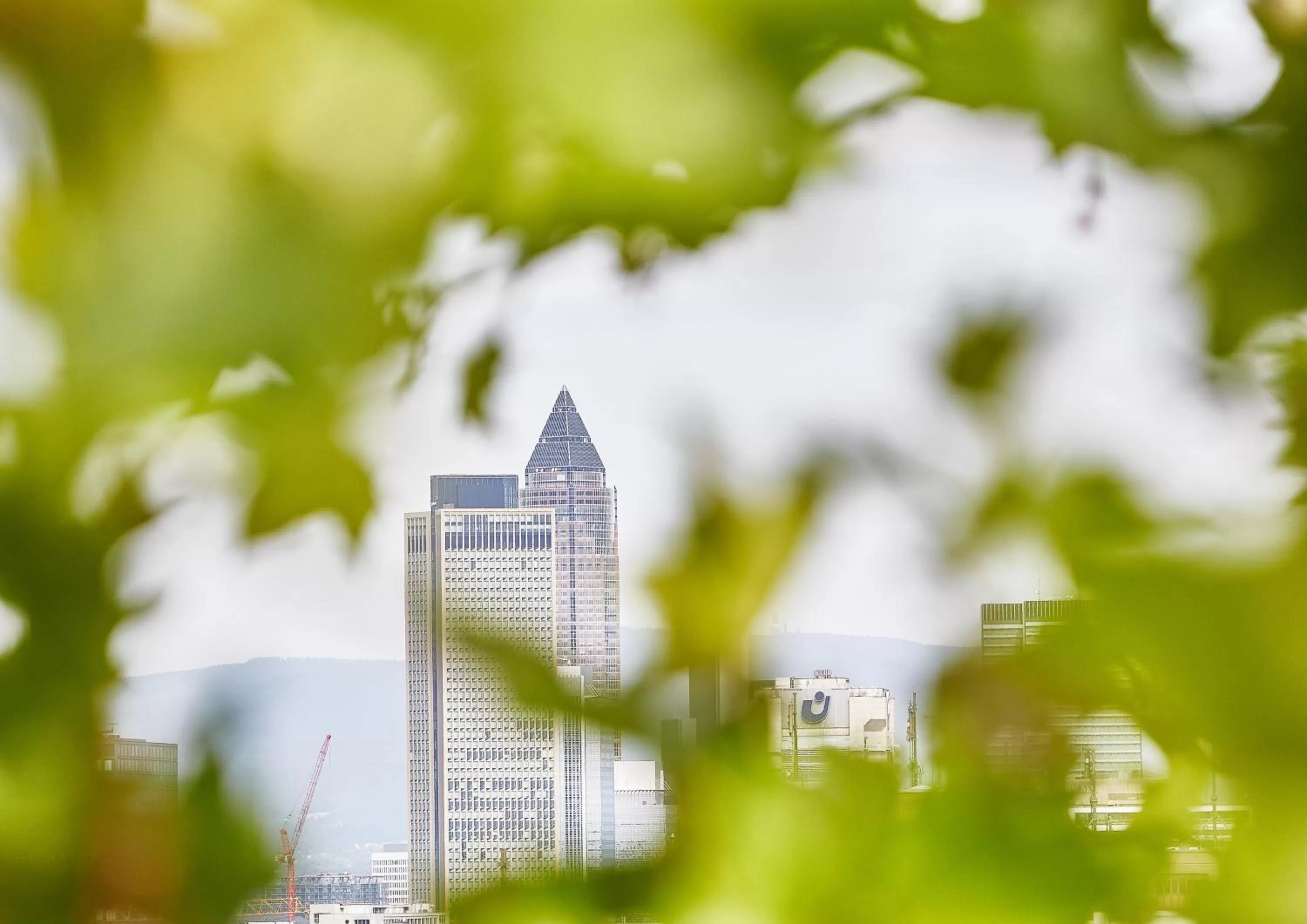 Area and facilities in Living Hotel Frankfurt