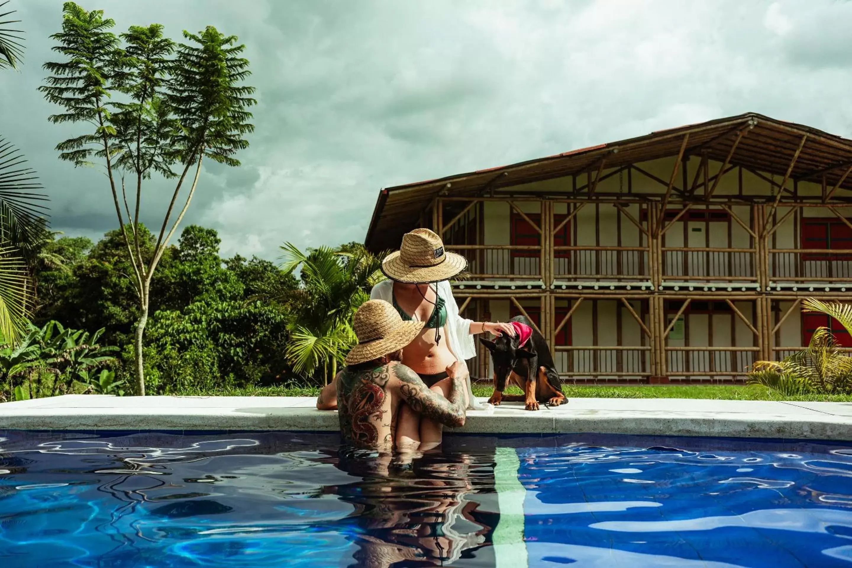 Pool view, Swimming Pool in Selina Quindio