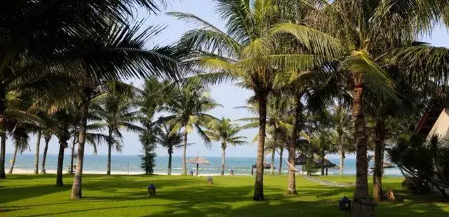 Sea view, Garden in Palm Garden Beach Resort & Spa