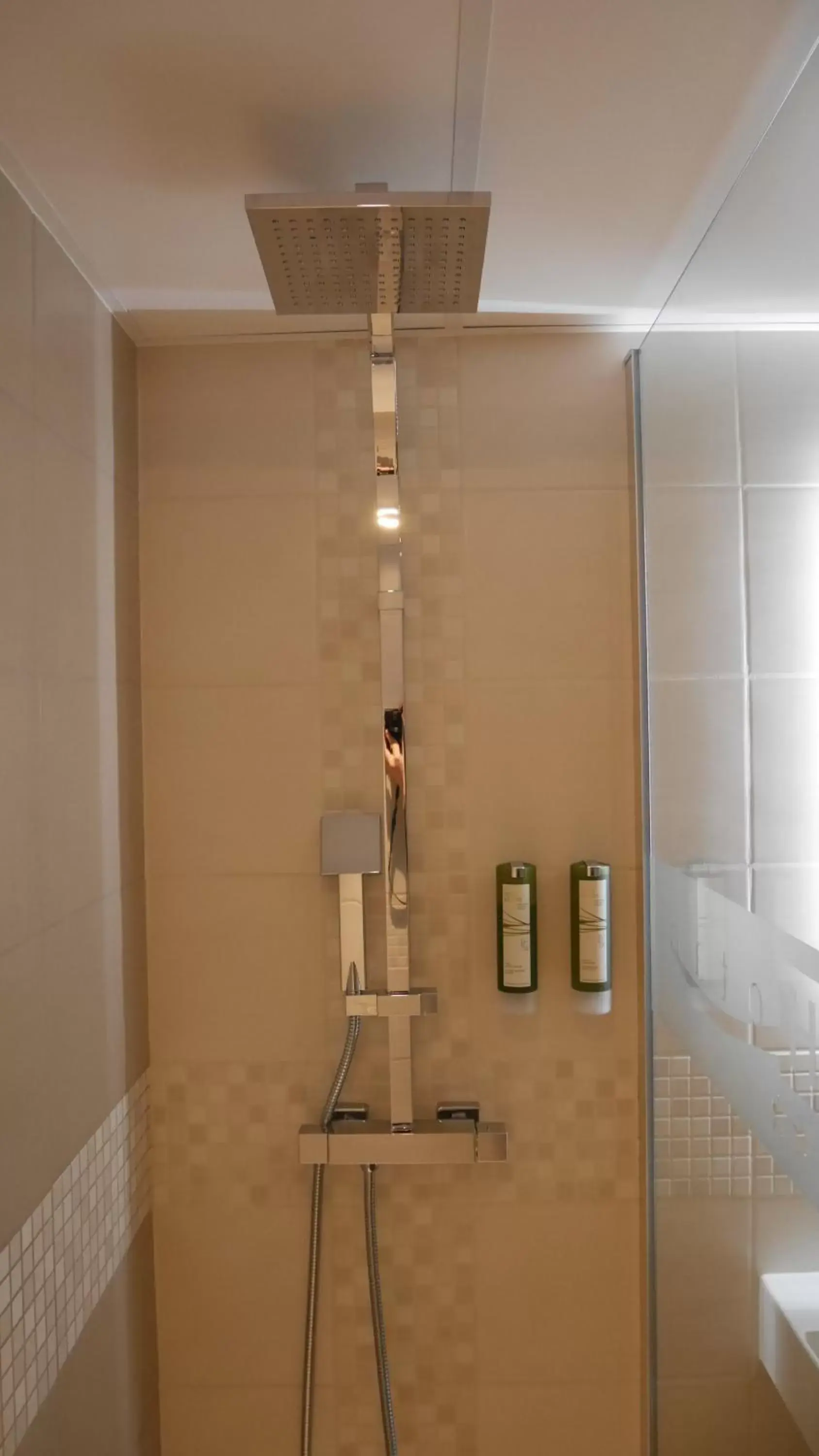 Shower, Bathroom in Hotel L'Hotan
