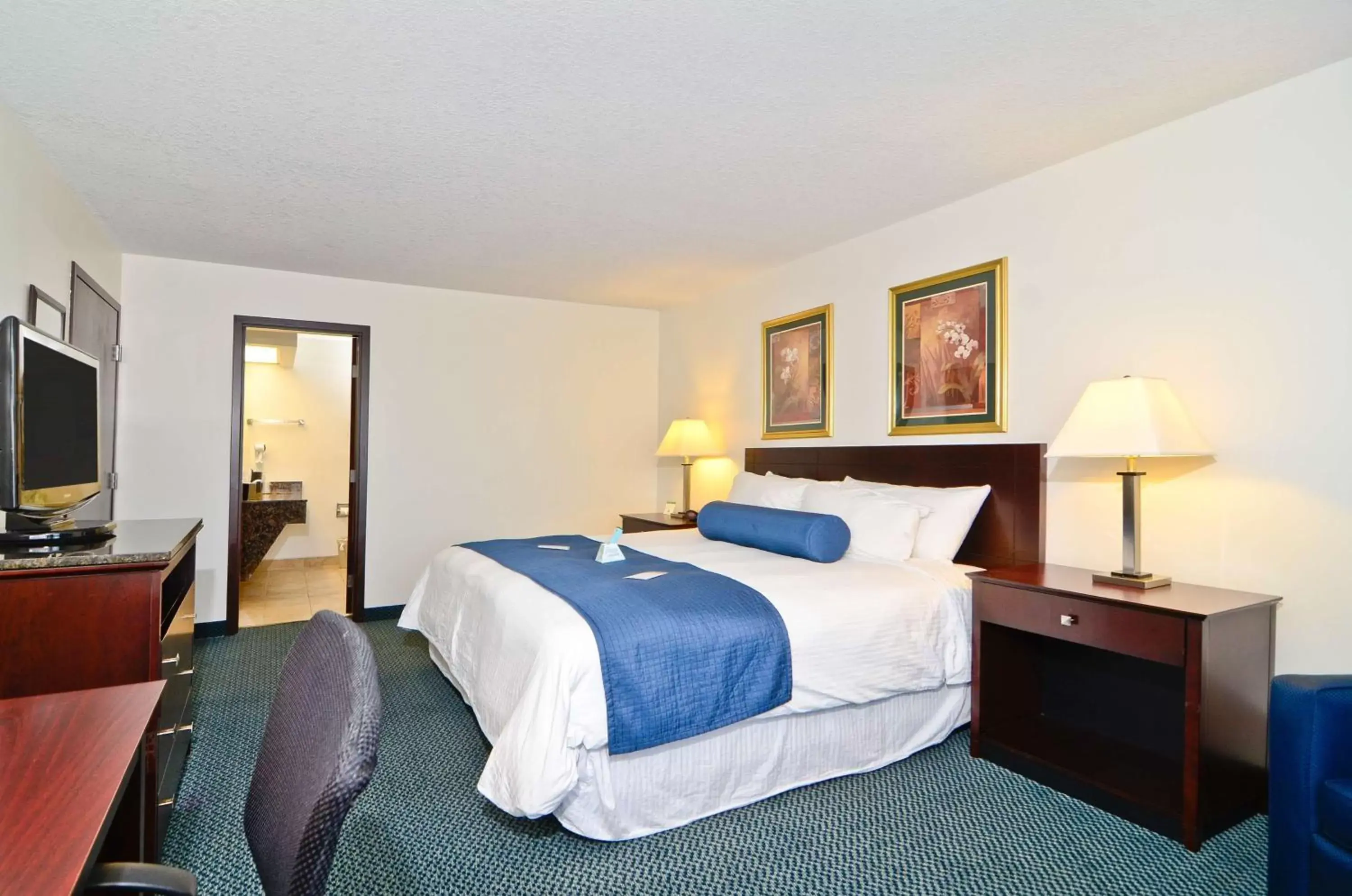 Photo of the whole room, Bed in Best Western Plus Gas City