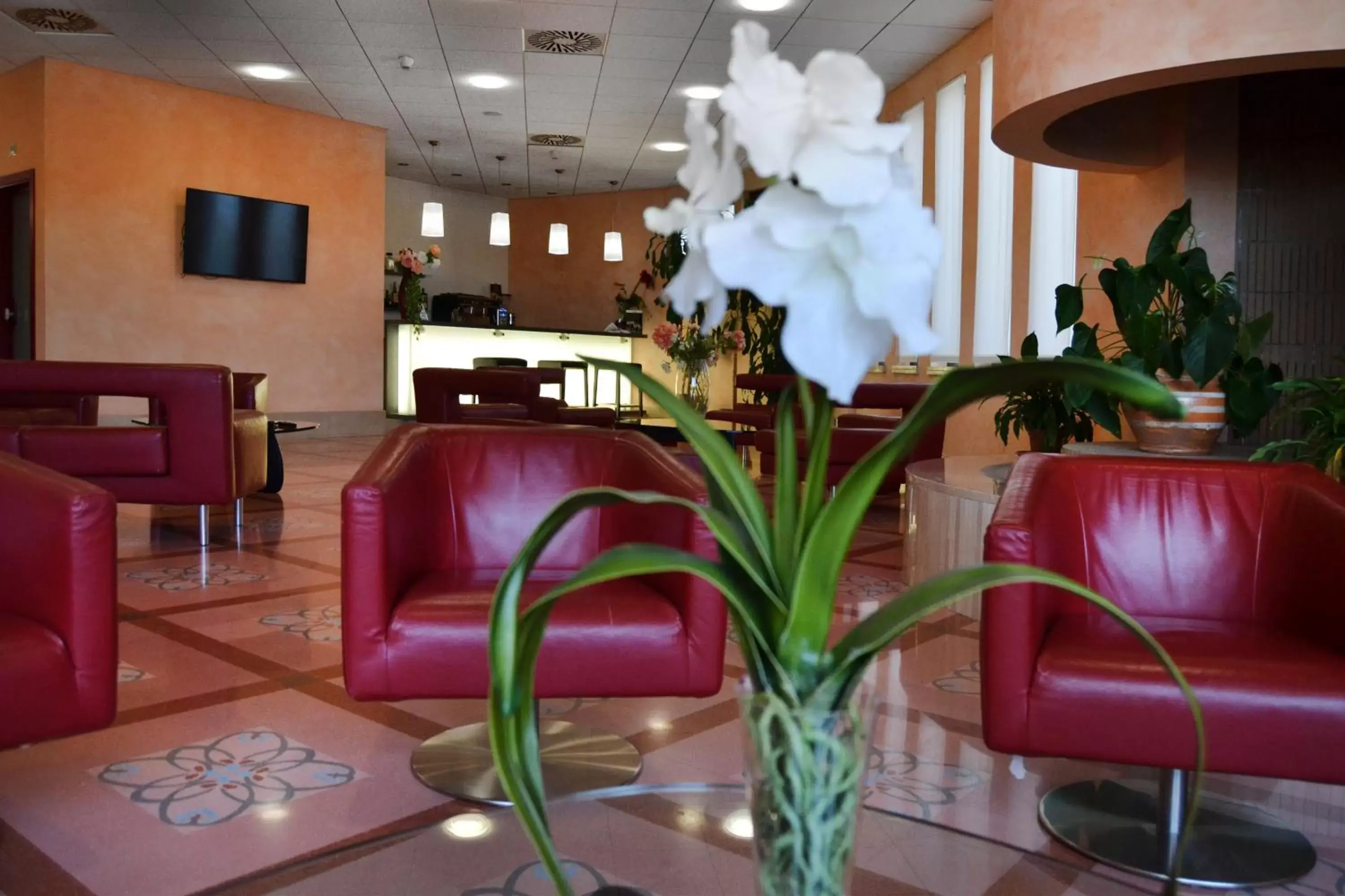 Lobby or reception, Lounge/Bar in don guglielmo panoramic Hotel & Spa
