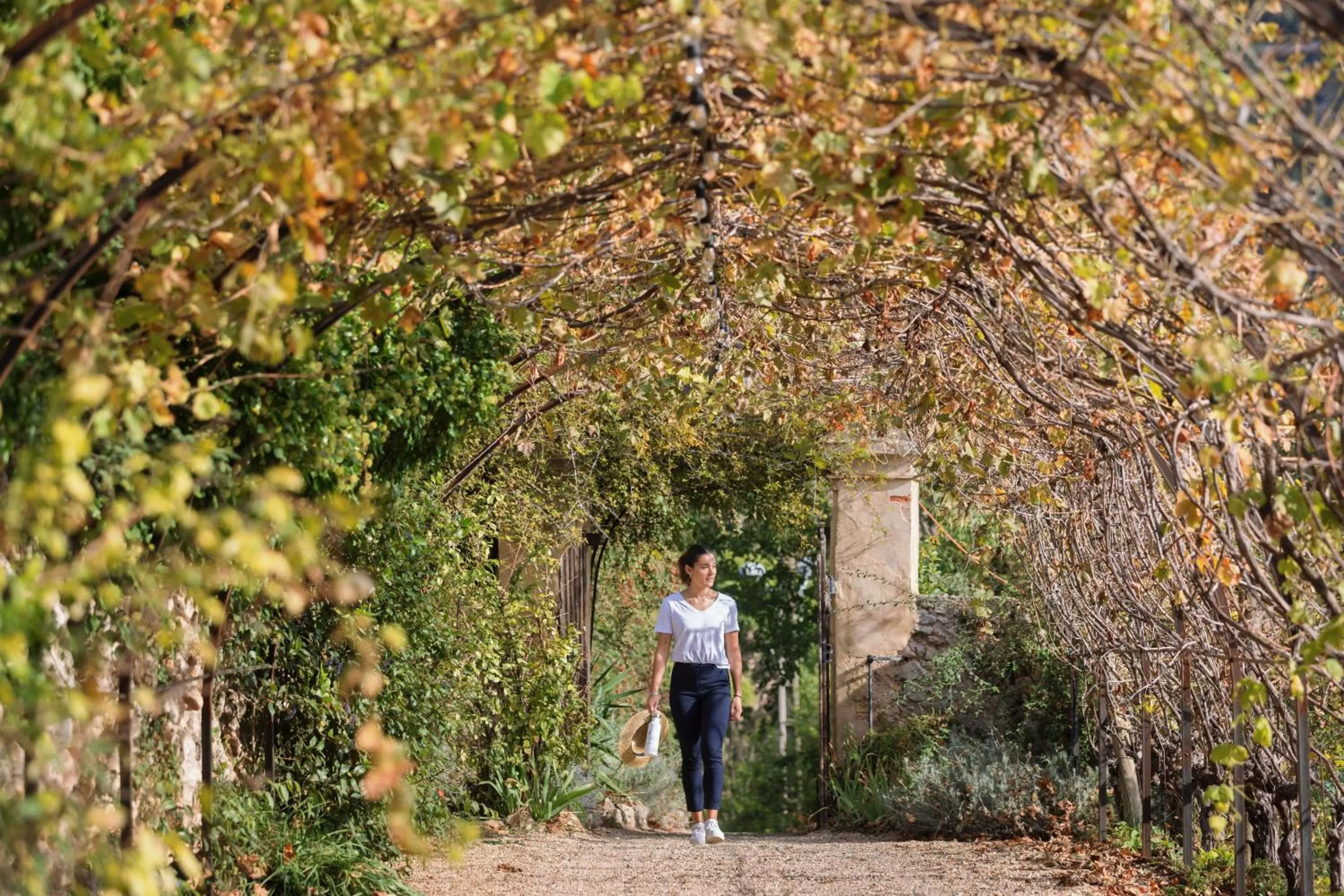 View (from property/room) in LOU CALEN