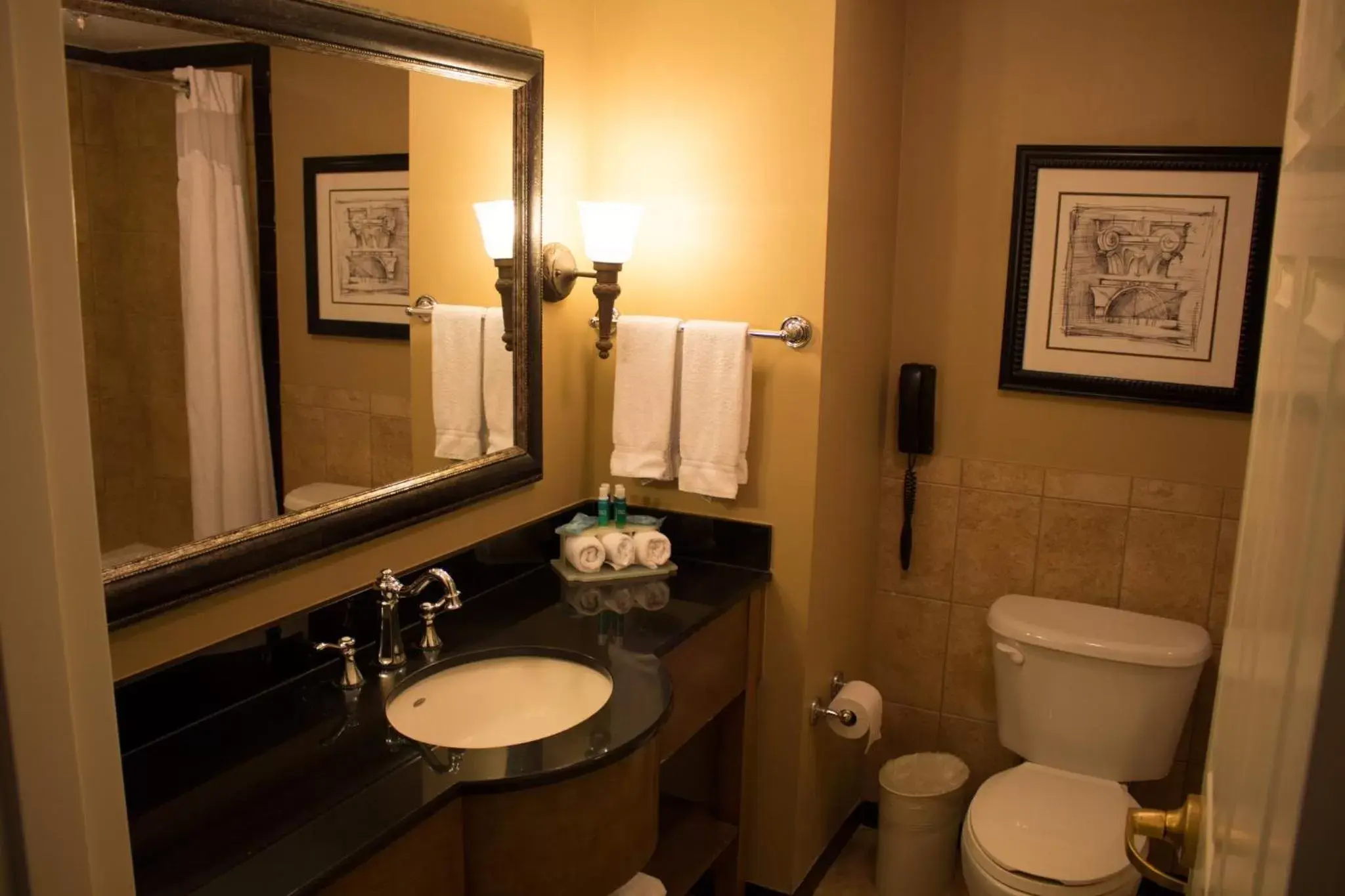 Bathroom in Holiday Inn Express Savannah - Historic District, an IHG Hotel