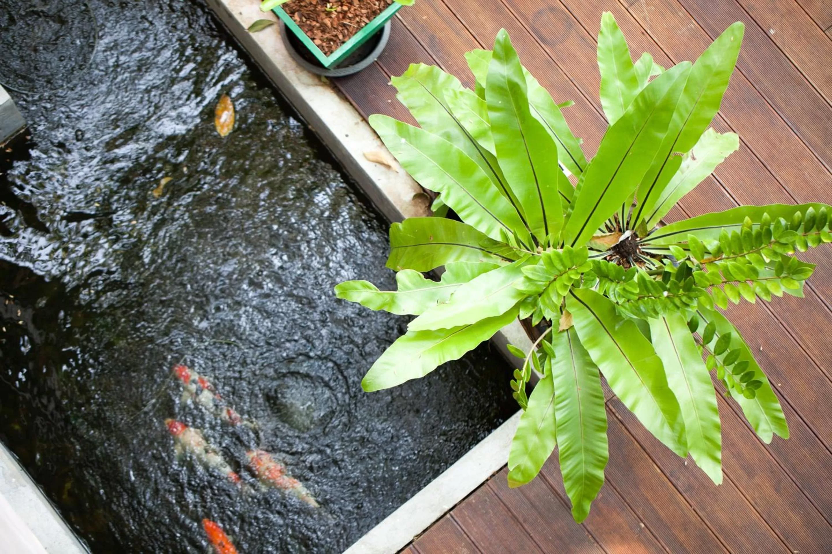 Garden in Aonang Princeville Villa Resort & Spa - GHA WellHotel-Halal Certified, Krabi, Thailand