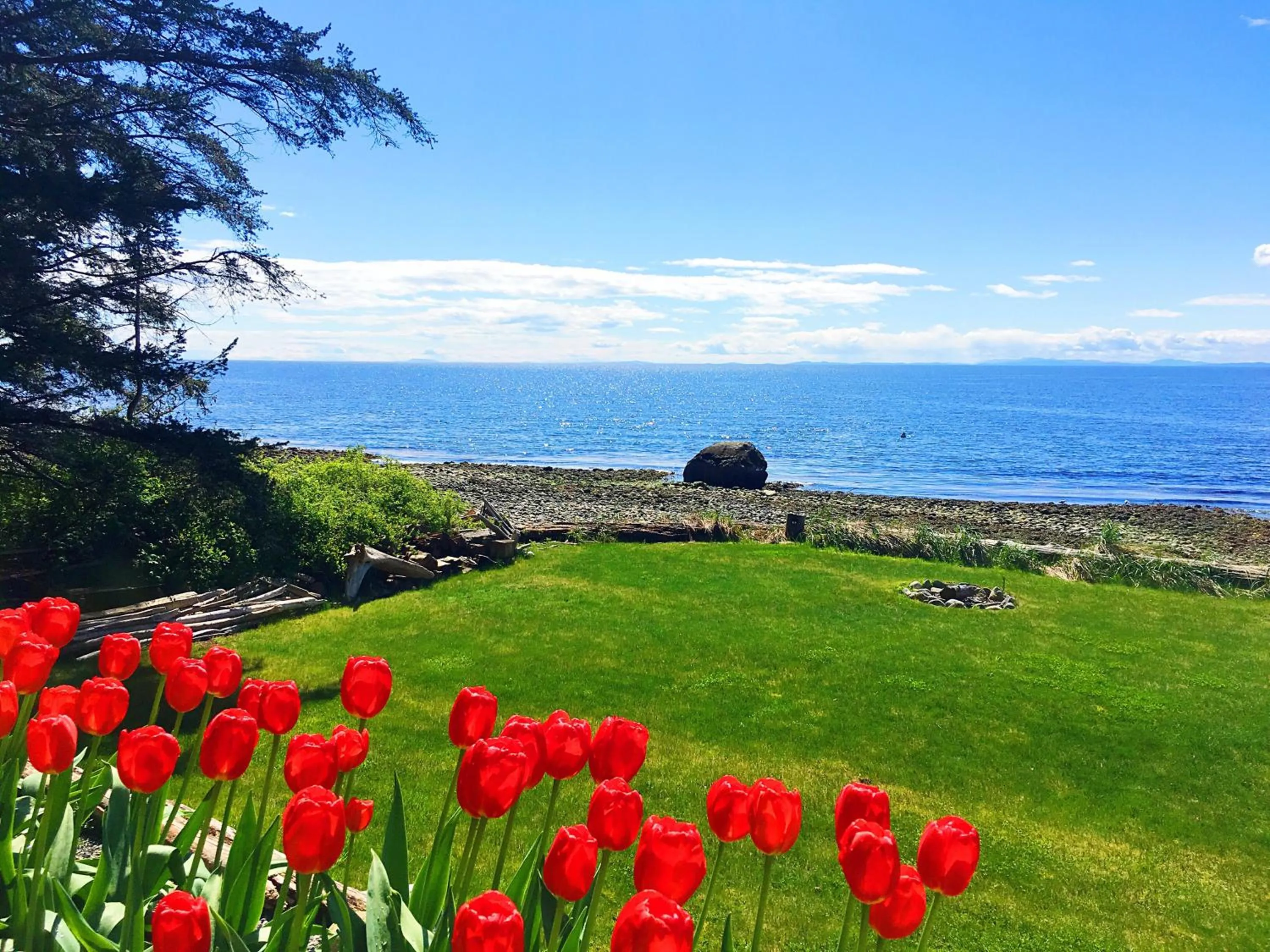 Natural landscape in Bonniebrook Lodge