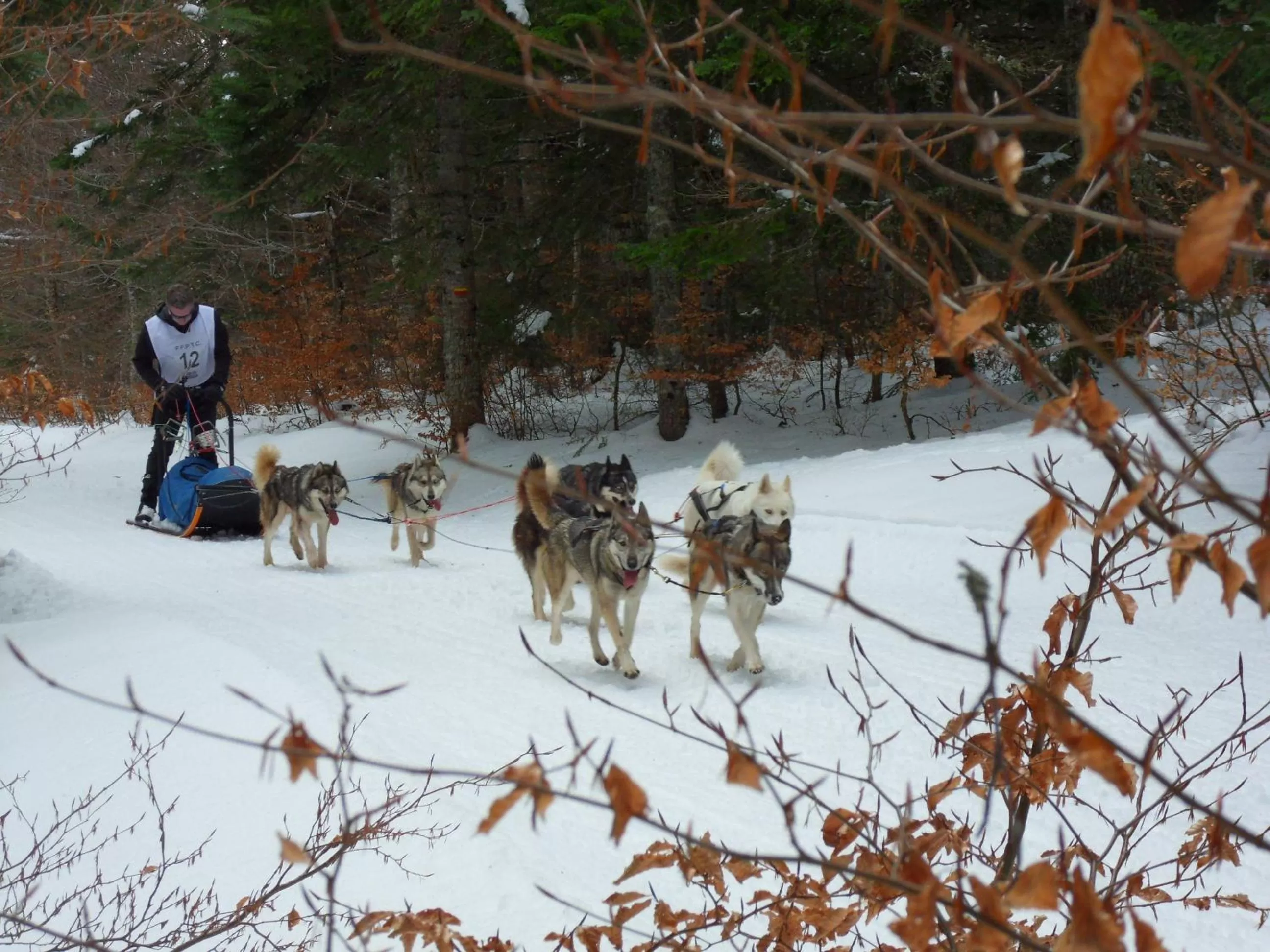 Sports, Horseback Riding in L'Estapade des Tourelons