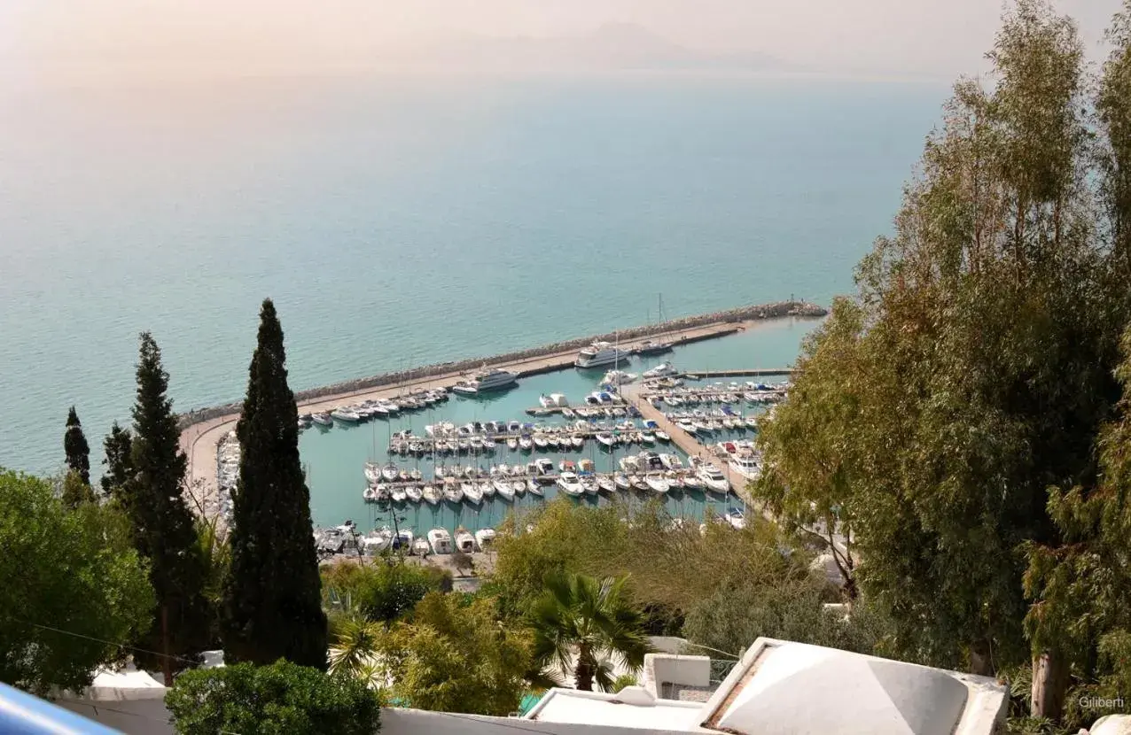Sea view in La Villa Bleue-Sidi Bou Said Sea view in La Villa Bleue-Sidi Bou Said