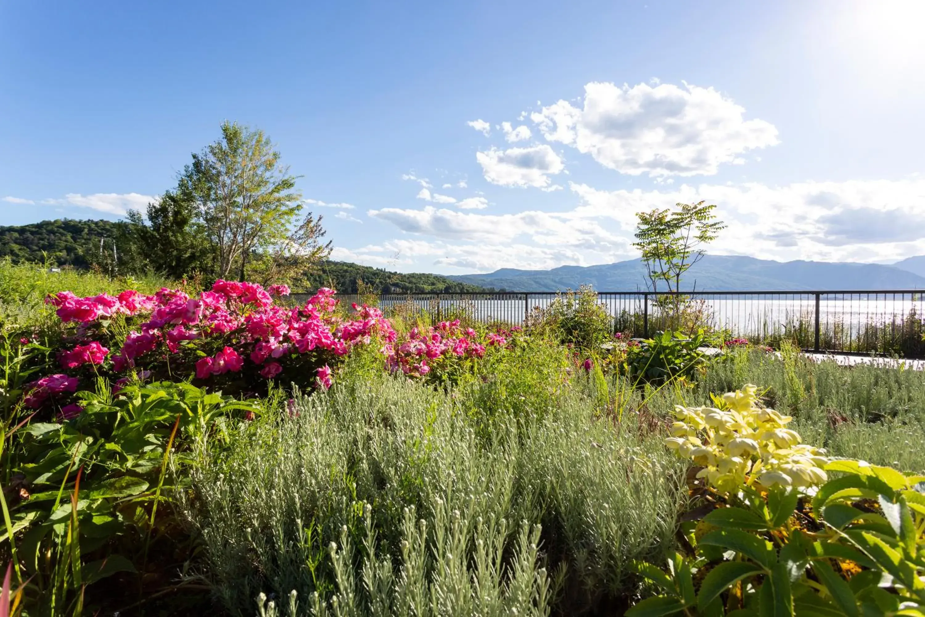 Natural landscape in Hotel de Charme Laveno