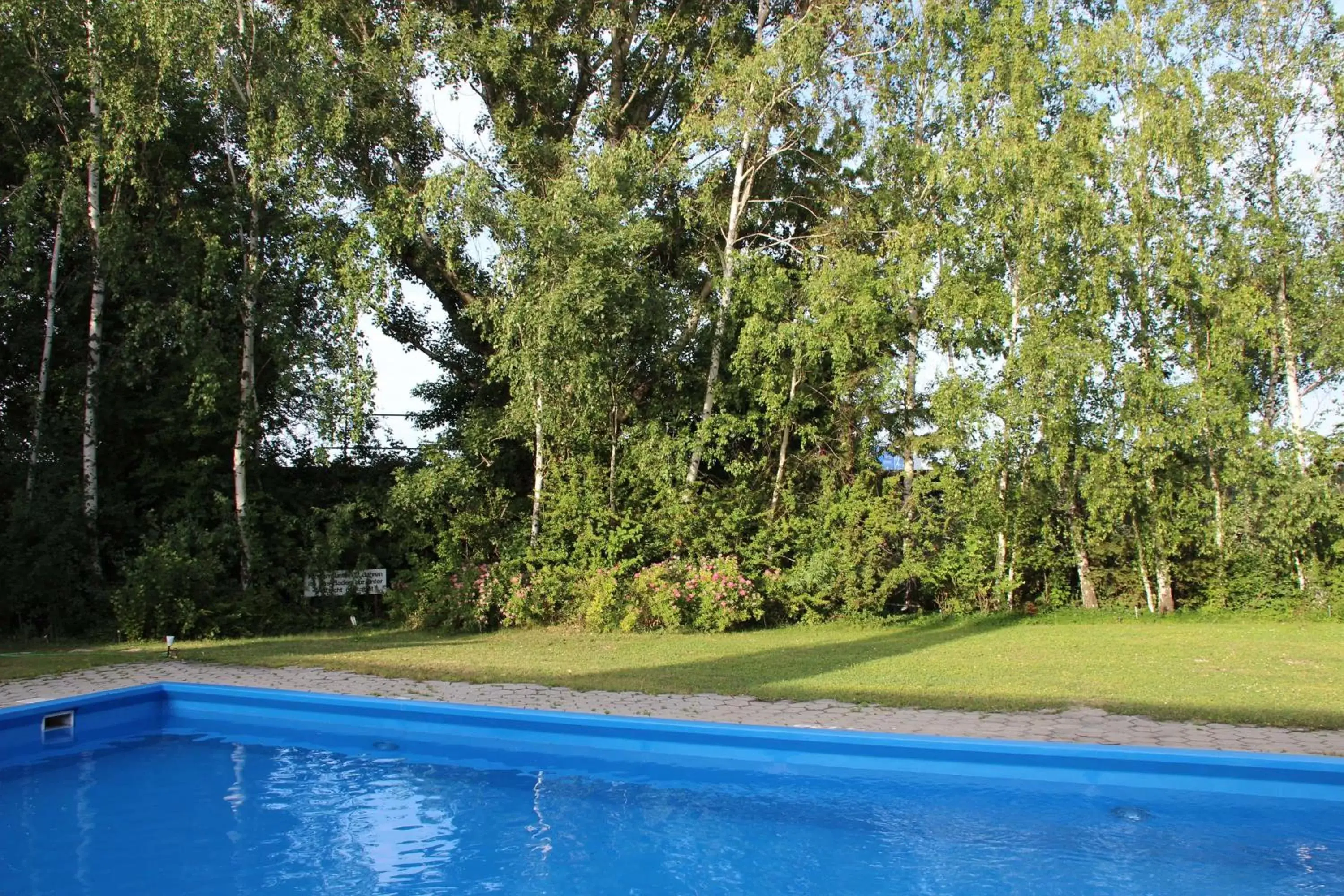 On site, Swimming Pool in Best Western Smart Hotel