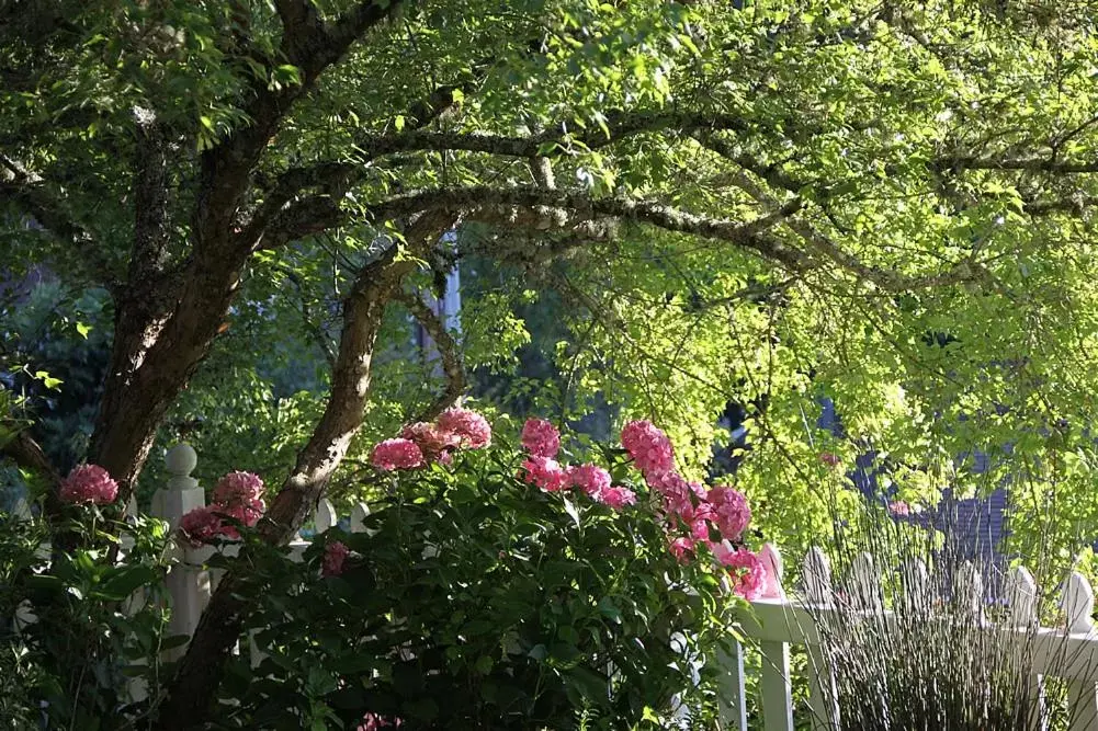 Other, Garden in Inn at Occidental