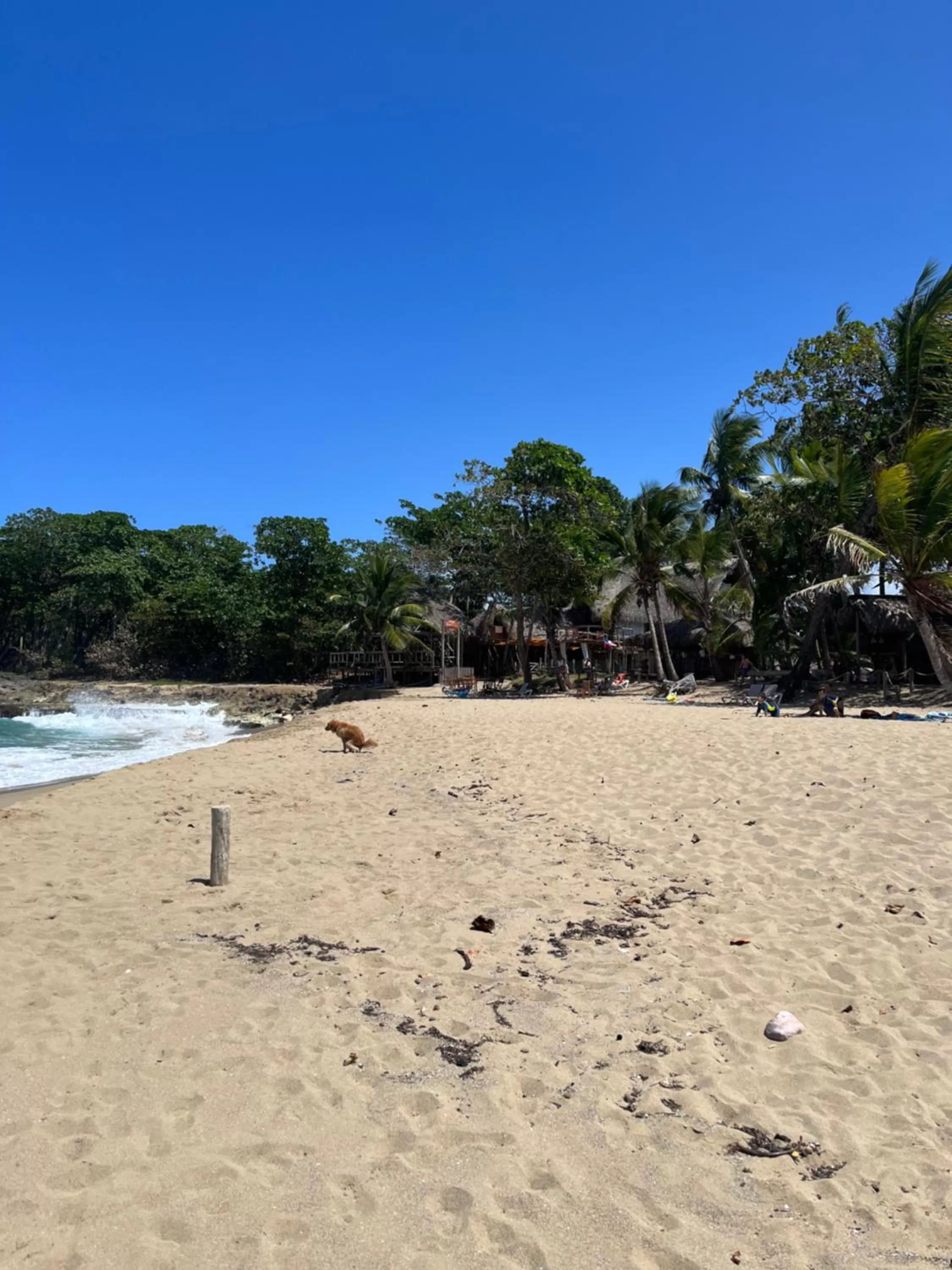 Cabarete Maravilla Eco Lodge Boutique Beach Surf Encuentro, Kite, by AA Crypto Group