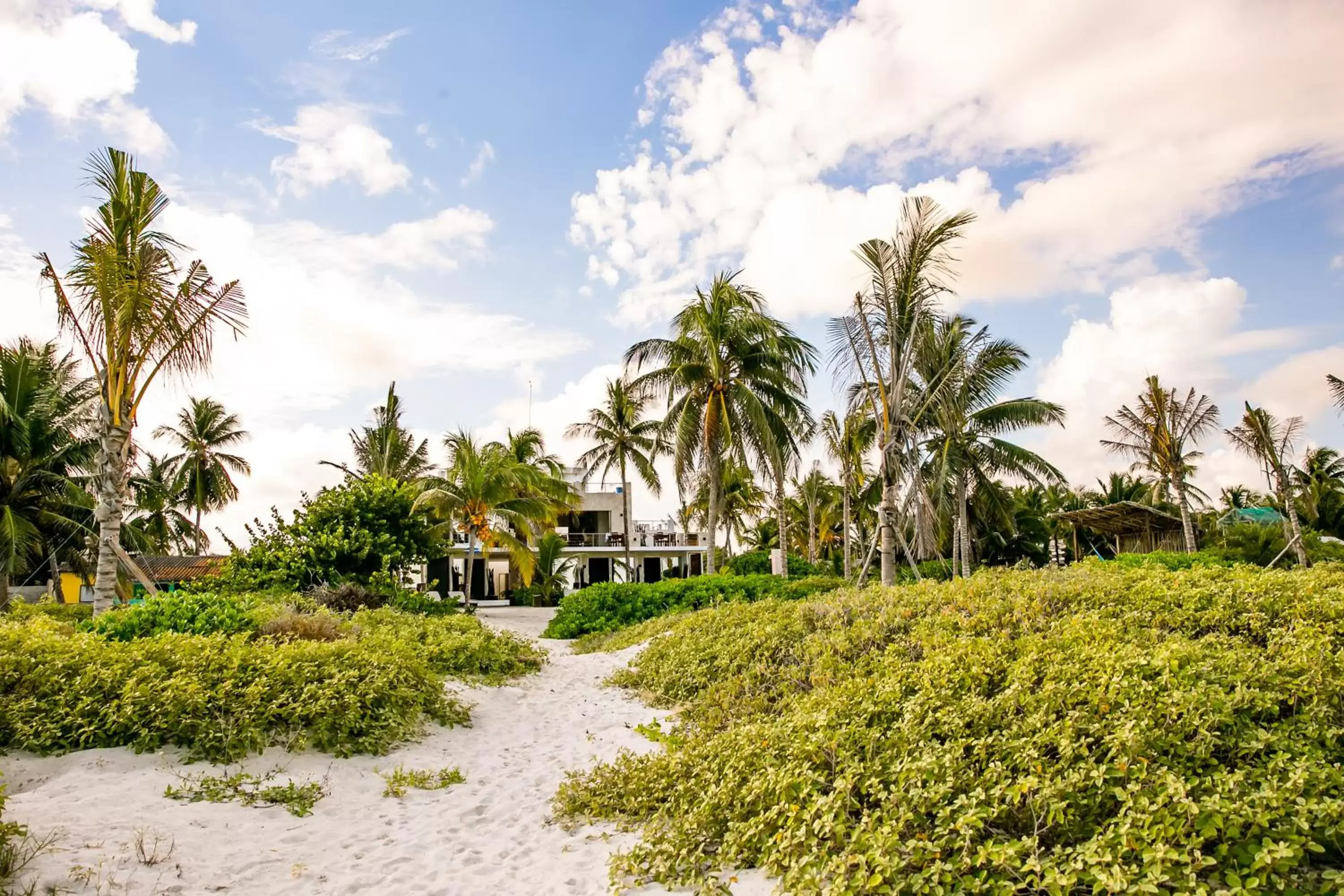 Natural landscape, Property Building in Hotel La Casa Cielo