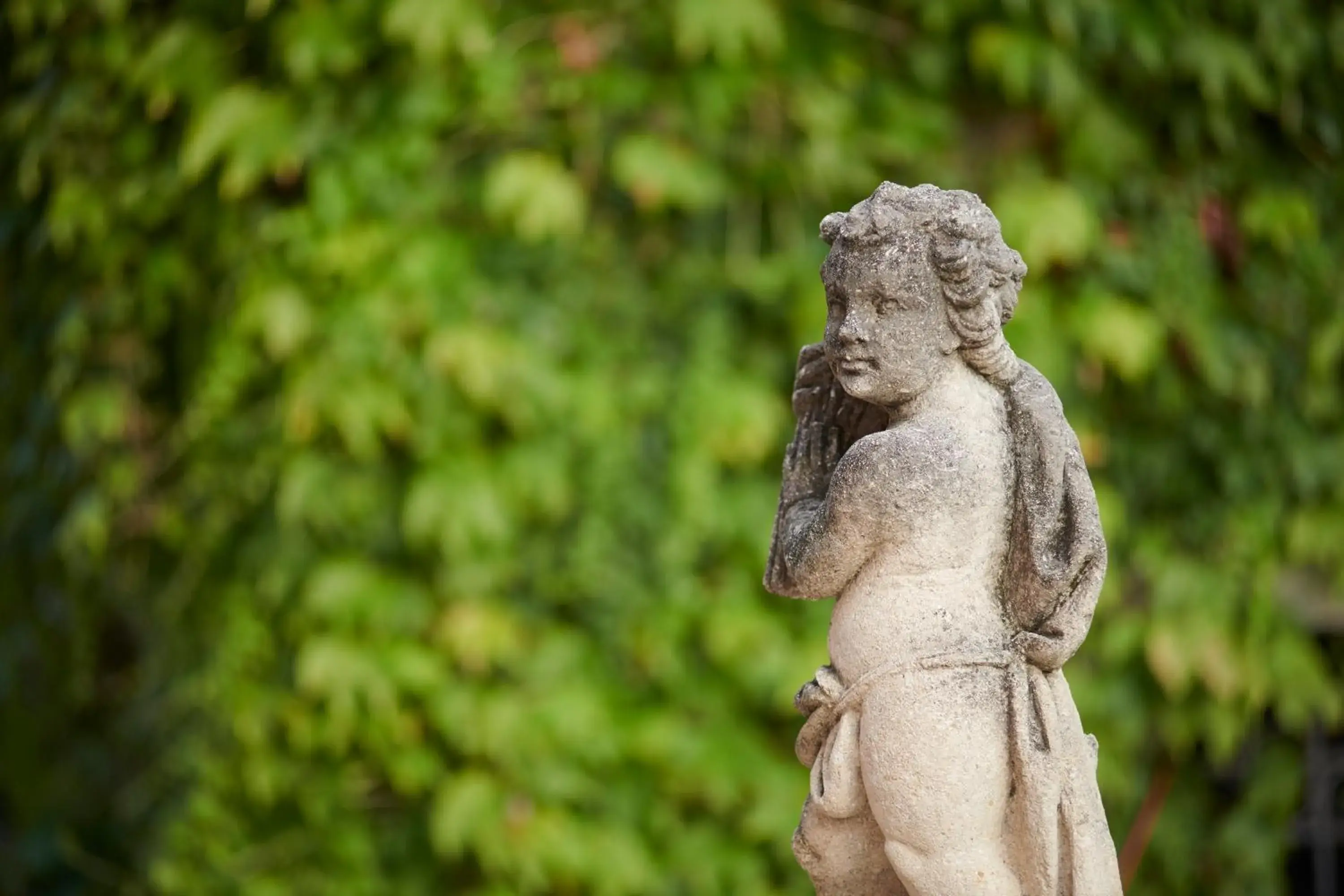 Garden view, Other Animals in Villa Cordevigo Wine Relais