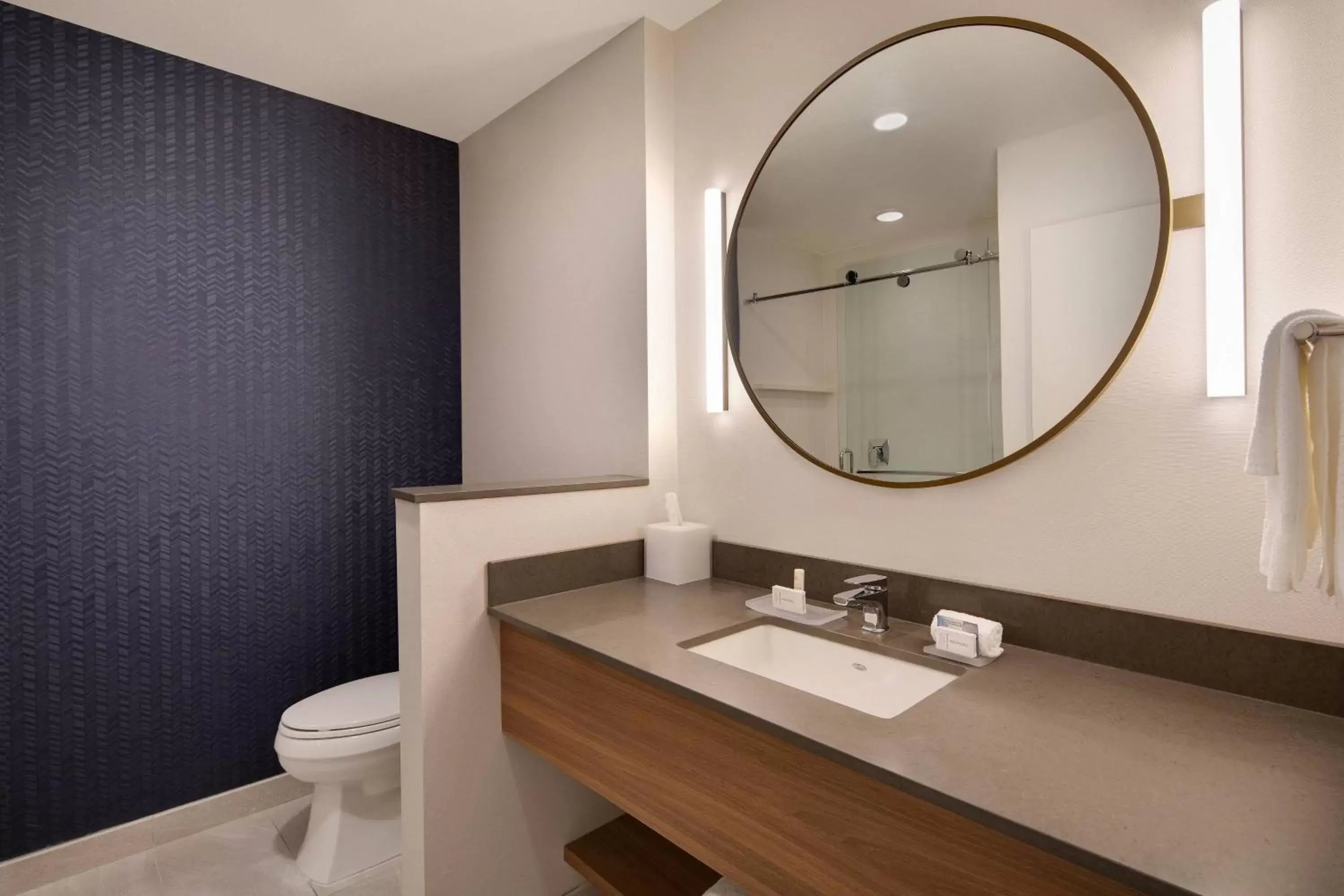Bathroom in Fairfield Inn & Suites by Marriott Tampa Wesley Chapel