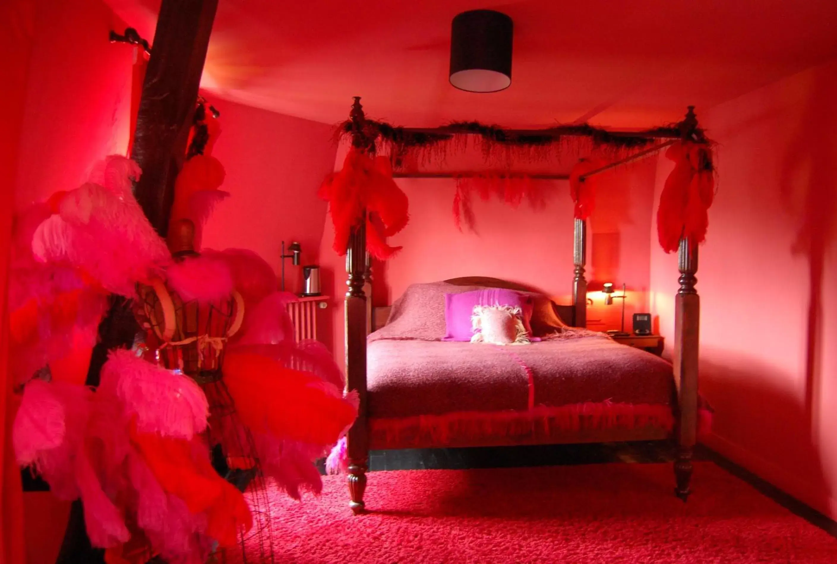 Moulin Rouge Room in Maison d'hôtes Stella Cadente
