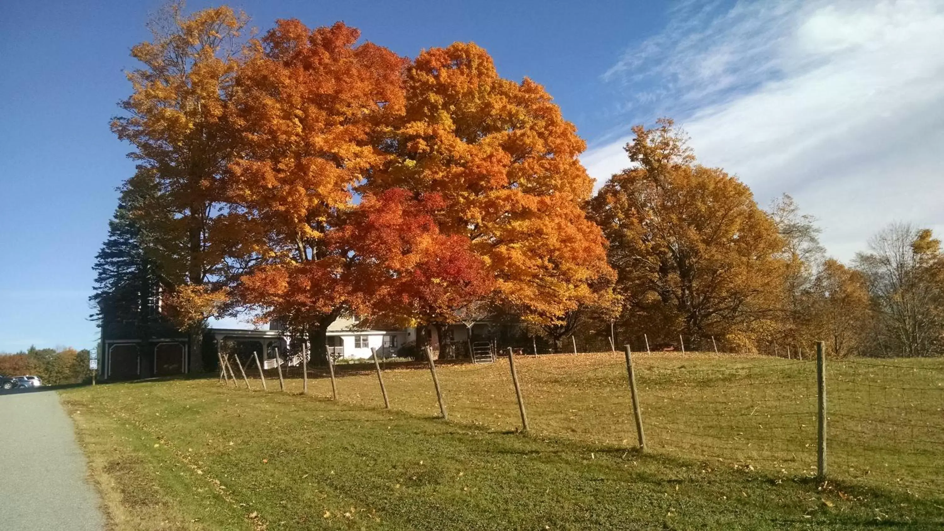 Autumn in Maple Hill Farm Inn