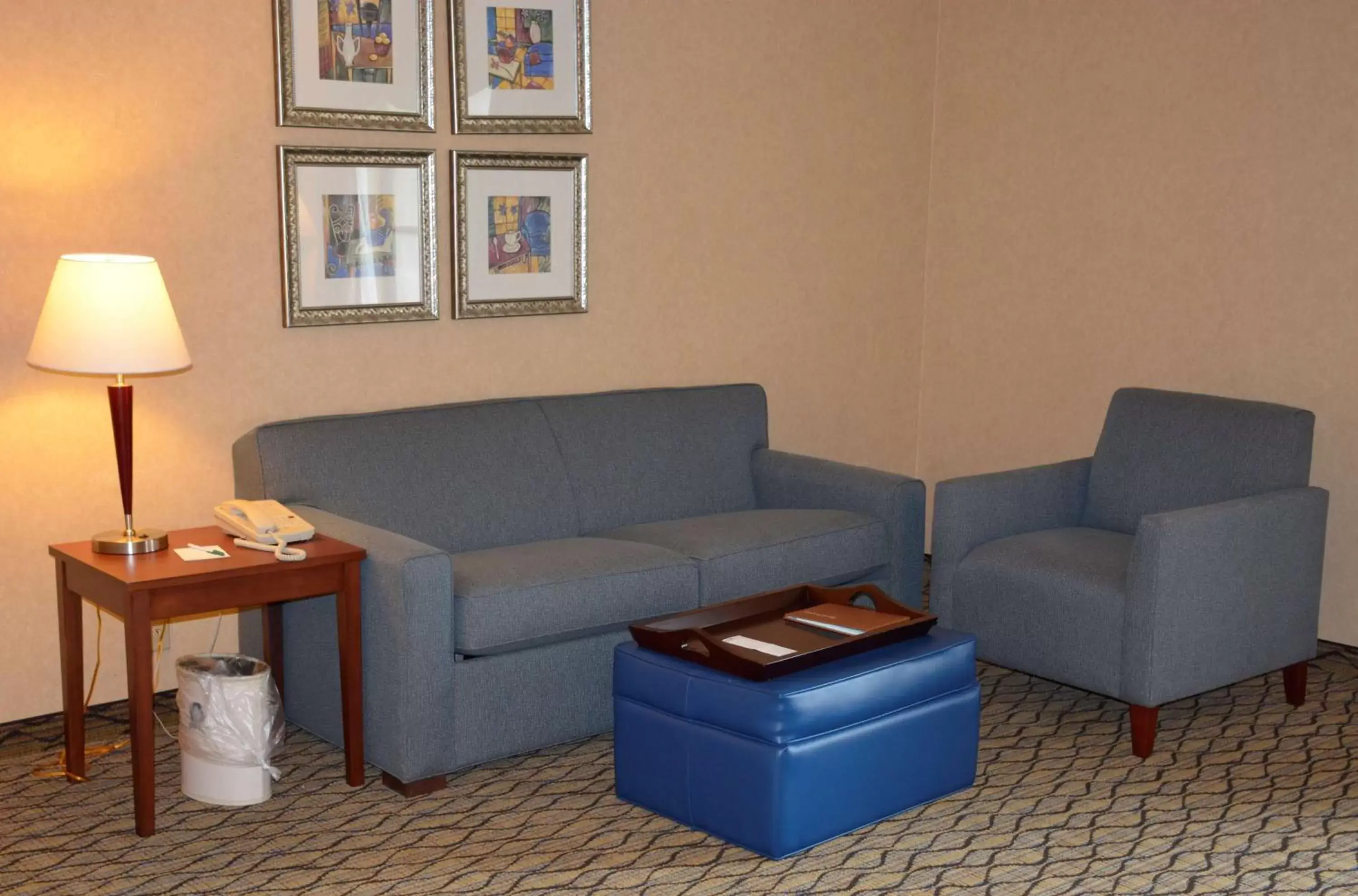 Living room, Seating Area in Homewood Suites by Hilton Brighton