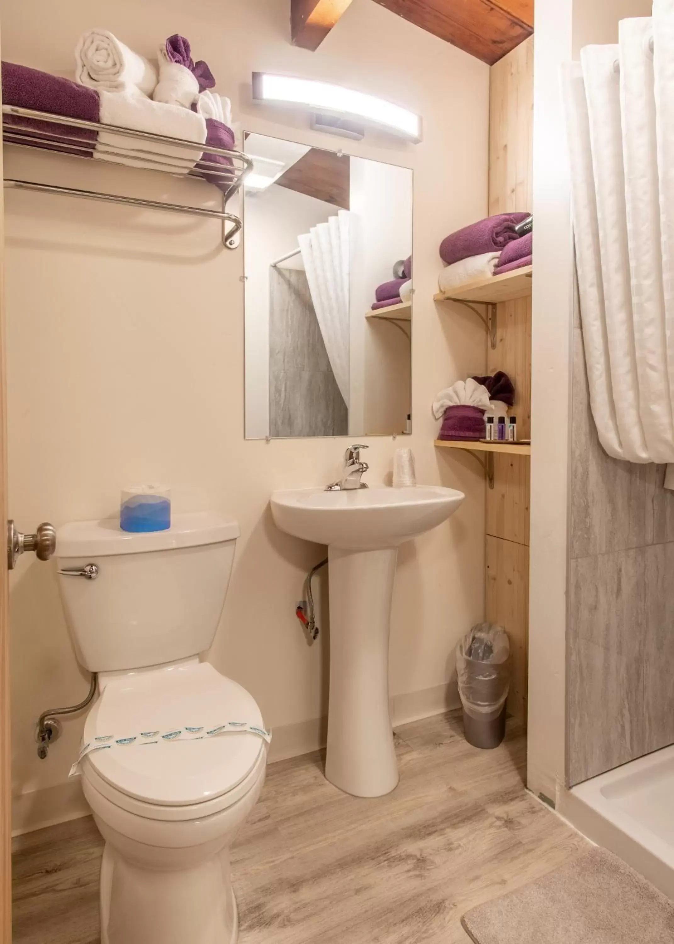 Bathroom in The Pioneer Motel