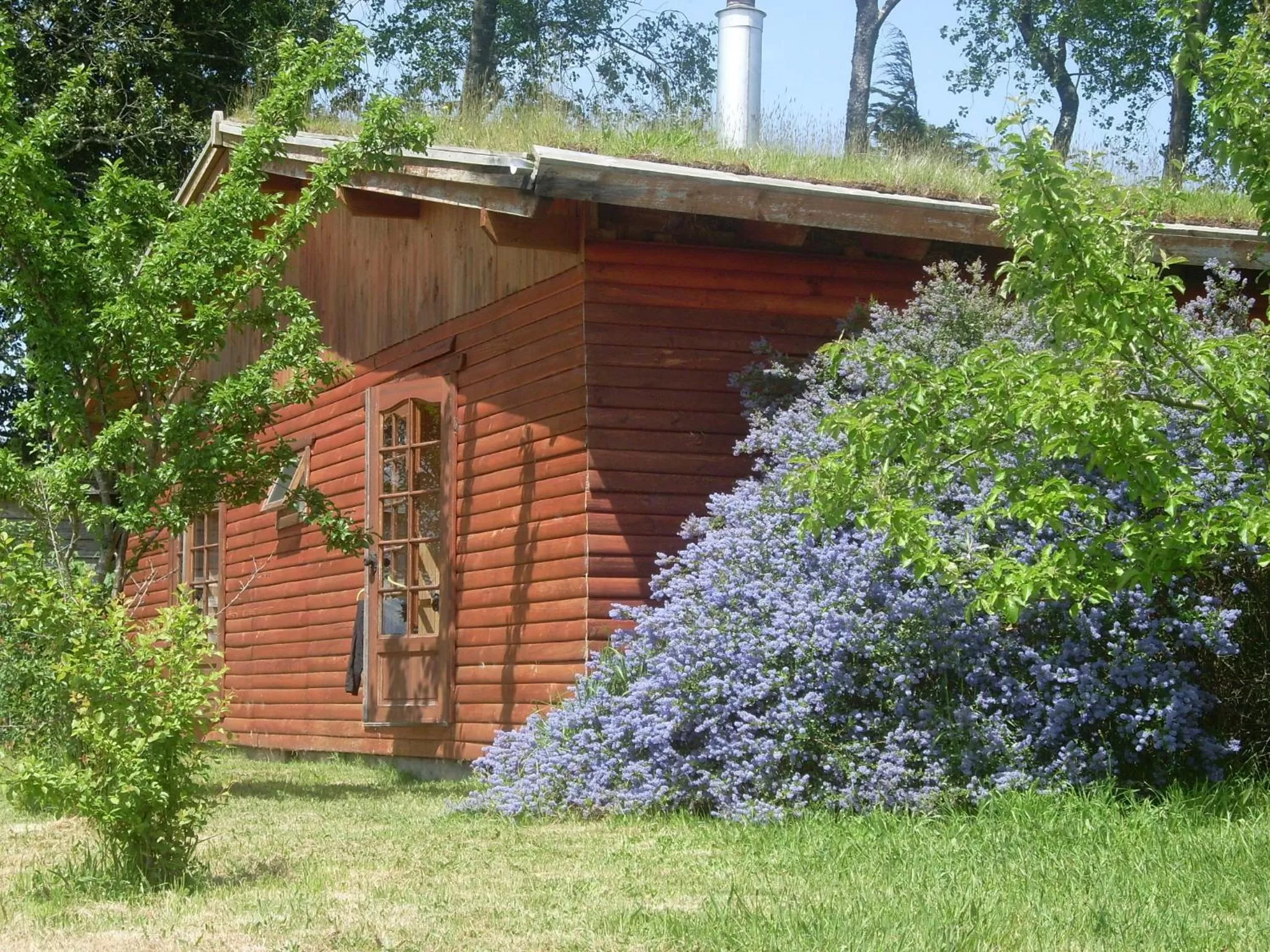 Facade/entrance in Hostal Zapato Amarillo