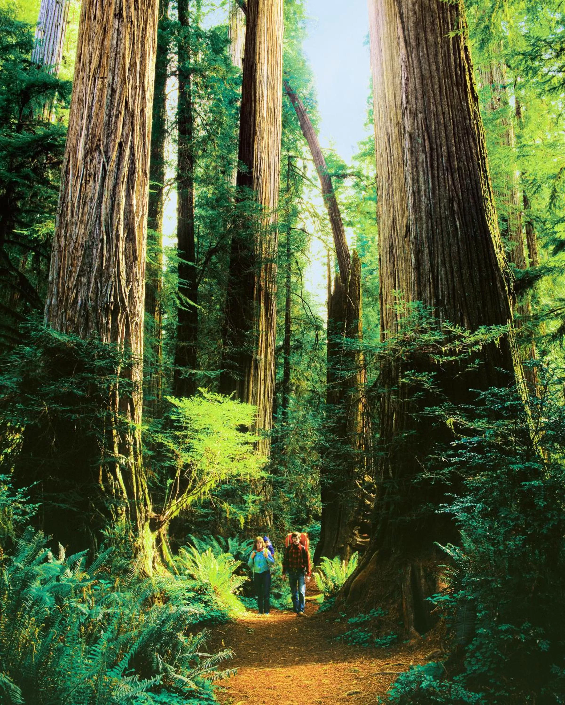 Guests in Victorian Inn