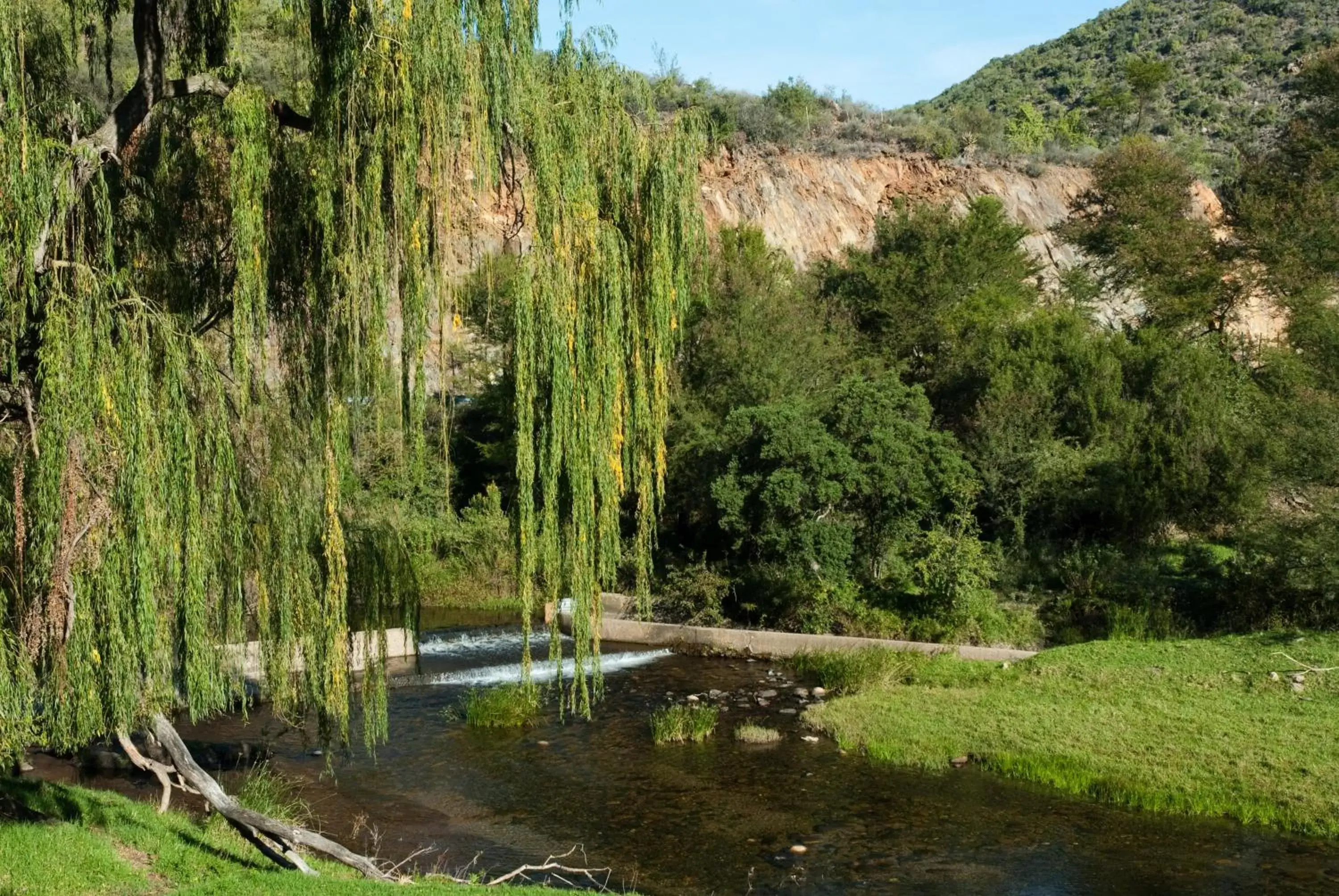 River view in Old Mill Lodge, Seasonal Working Ostrich Farm & Restaurant, Oudtshoorn