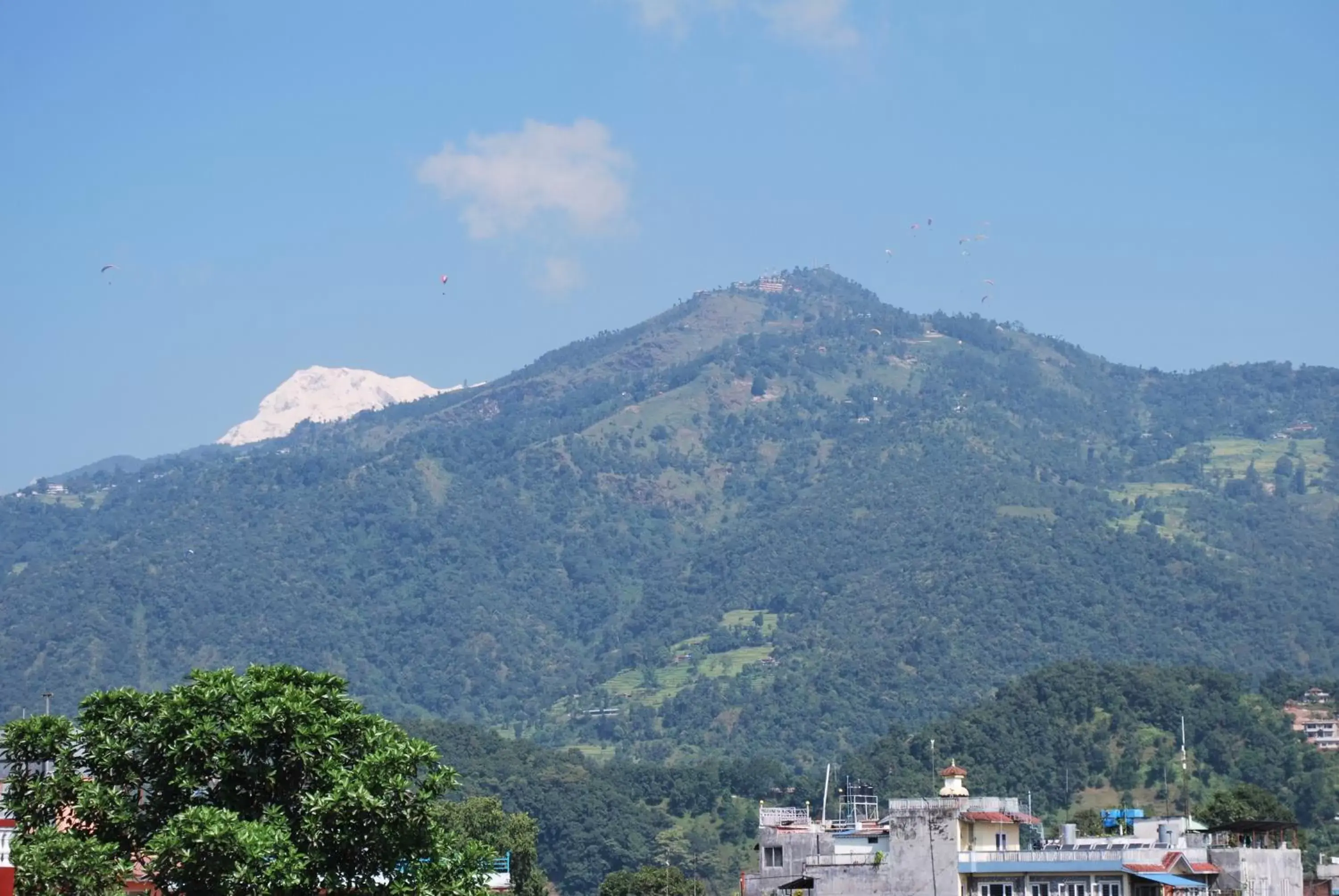 View (from property/room), Mountain View in Butterfly Lodge