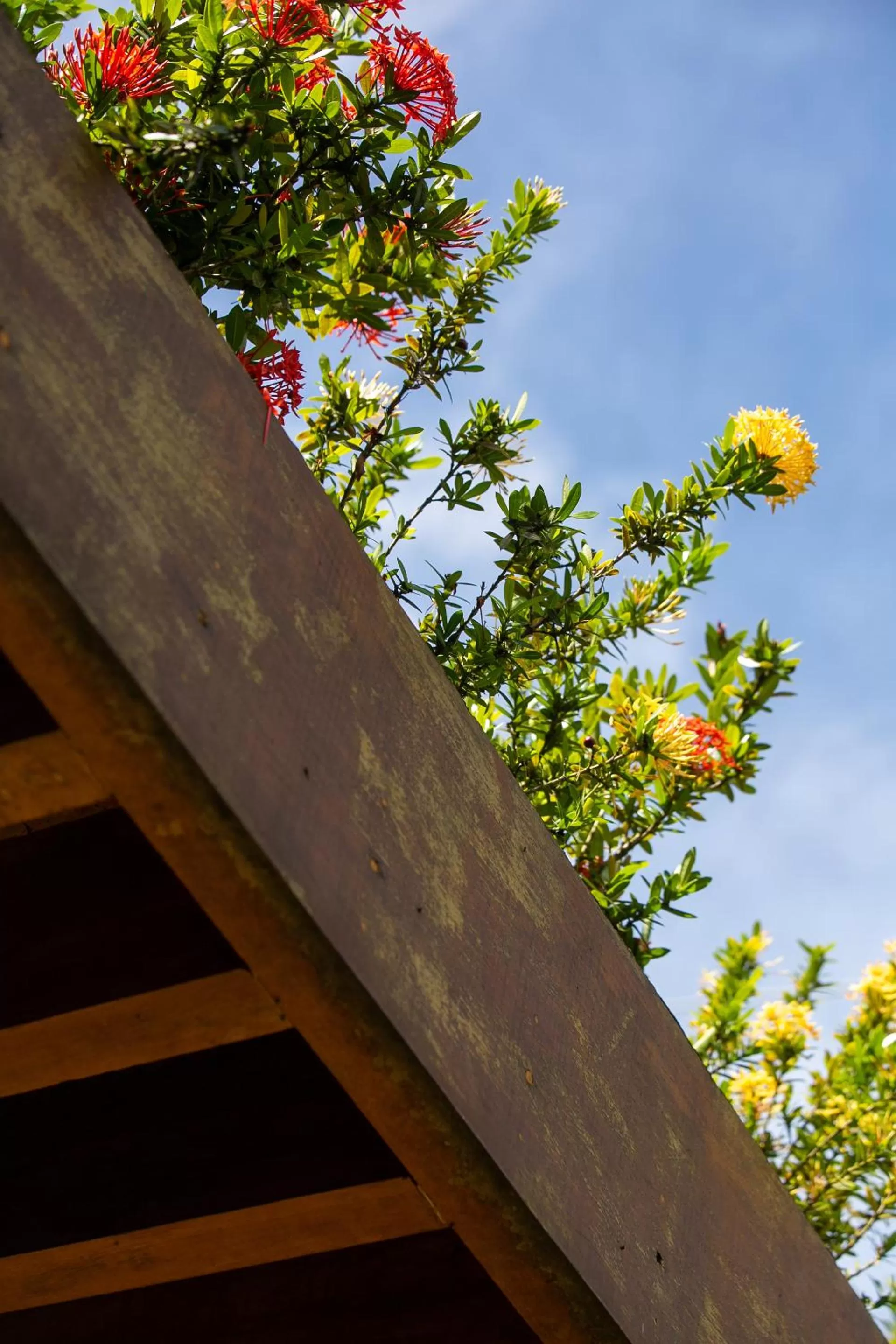 Property building in Green 53 Boutique Hotel