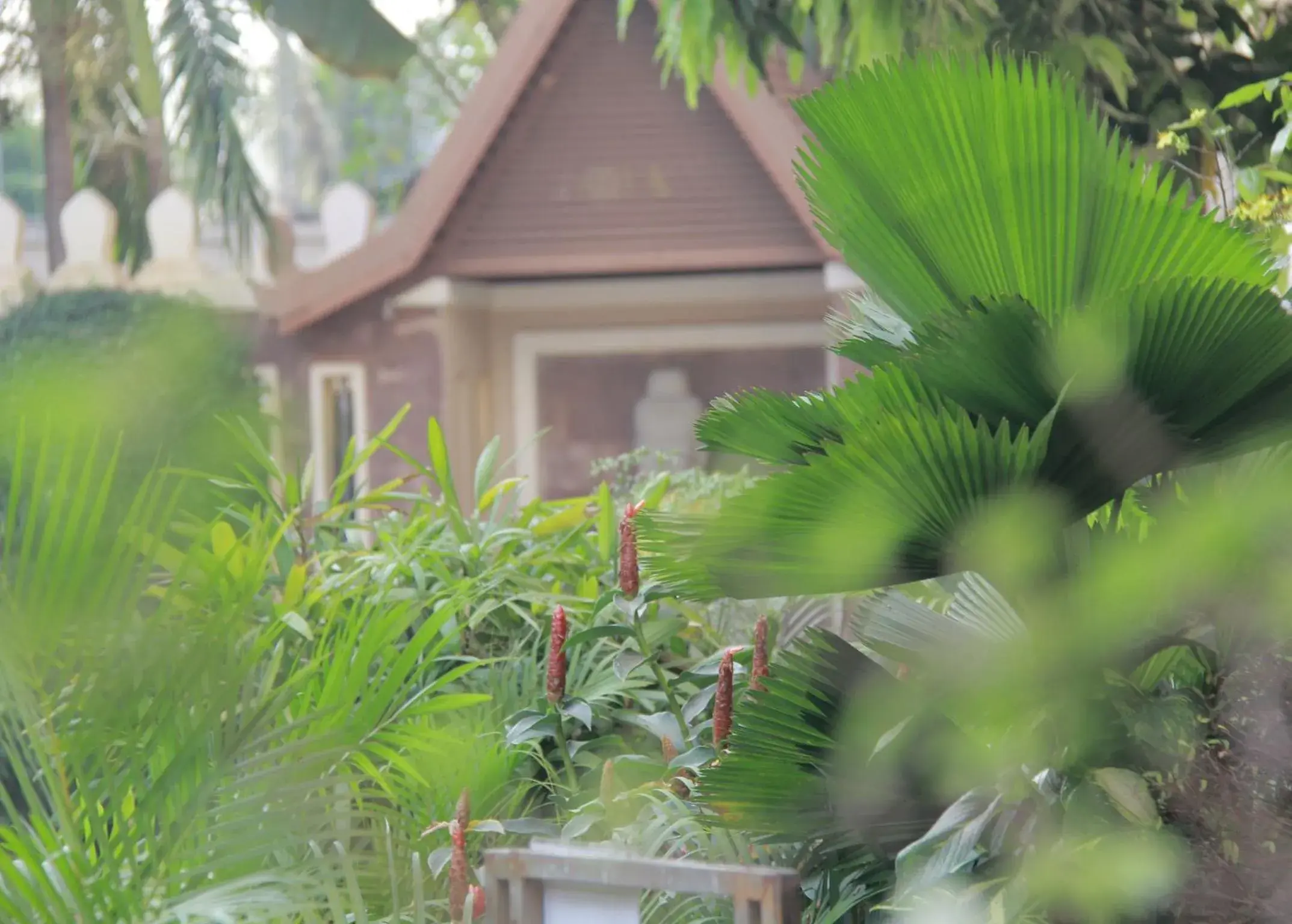 Garden view in Starry Angkor Hotel