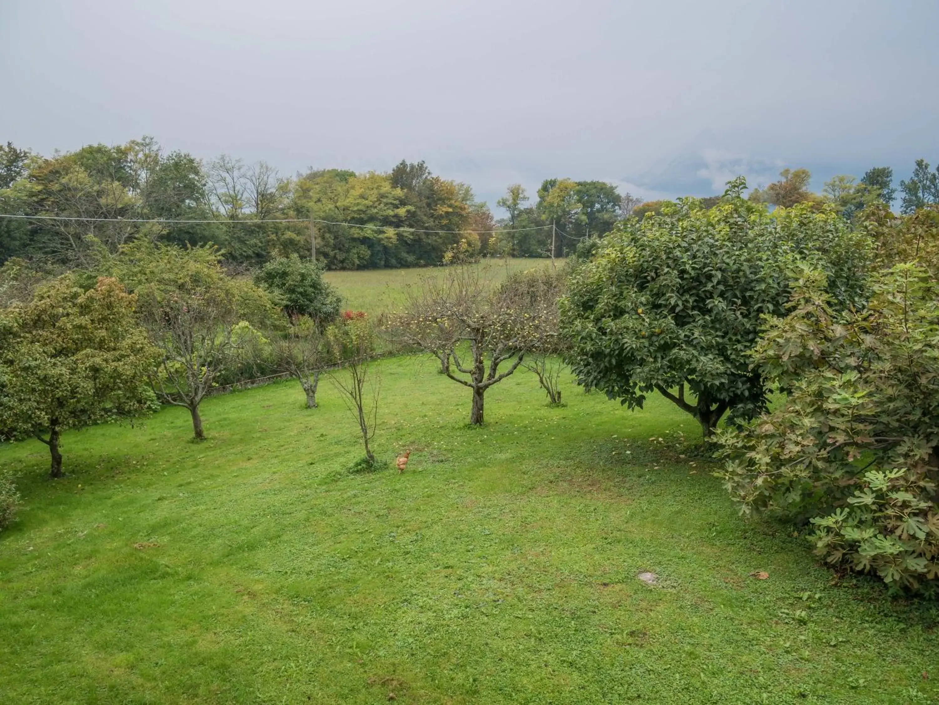 Natural landscape, Garden in Casa 1885