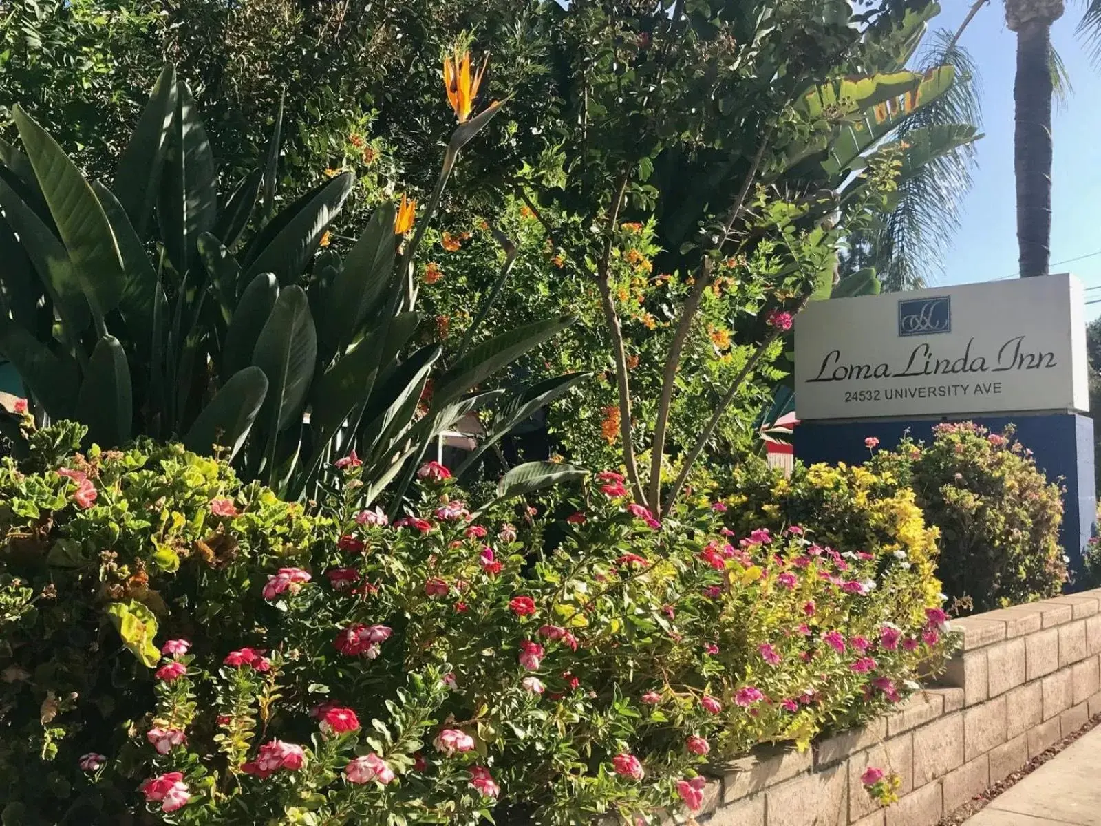 Garden, Property Logo/Sign in Loma Linda Inn